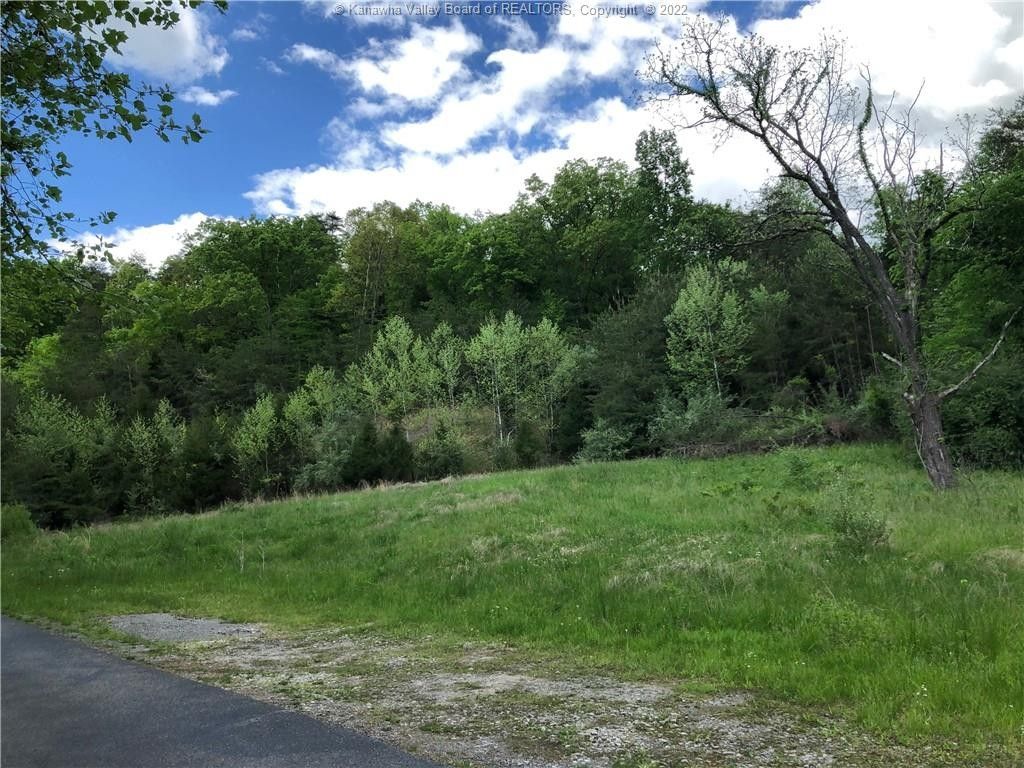 55.75 Acres, 0 Route 34, Winfield, WV 25213 Land and Farm