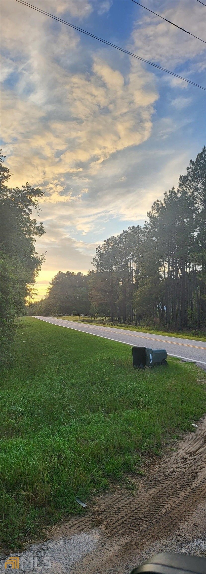 19.54 Acres, 0 Sidney Road, Metter, GA 30439 Land and Farm