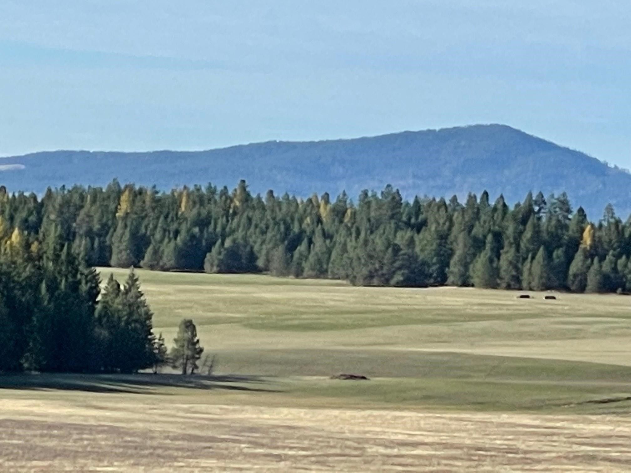 20 Acres, 42602 N Sherman (appox) Lots I and J, Deer Park, WA 99006