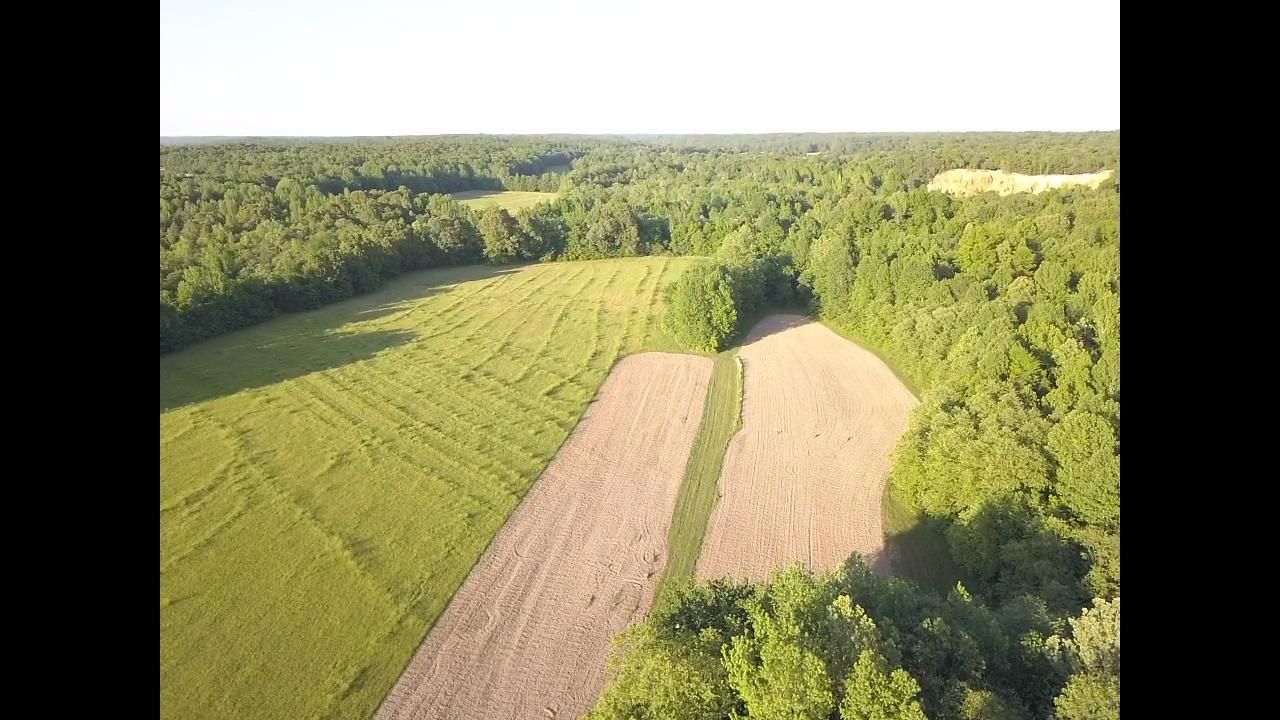 92 Acres, Hwy 358, Paragould, AR 72450 Land and Farm
