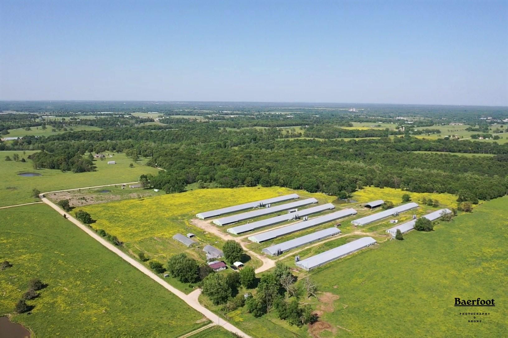 20 Acres, TBD South Earp Lane, Decatur, AR 72722 Land and Farm