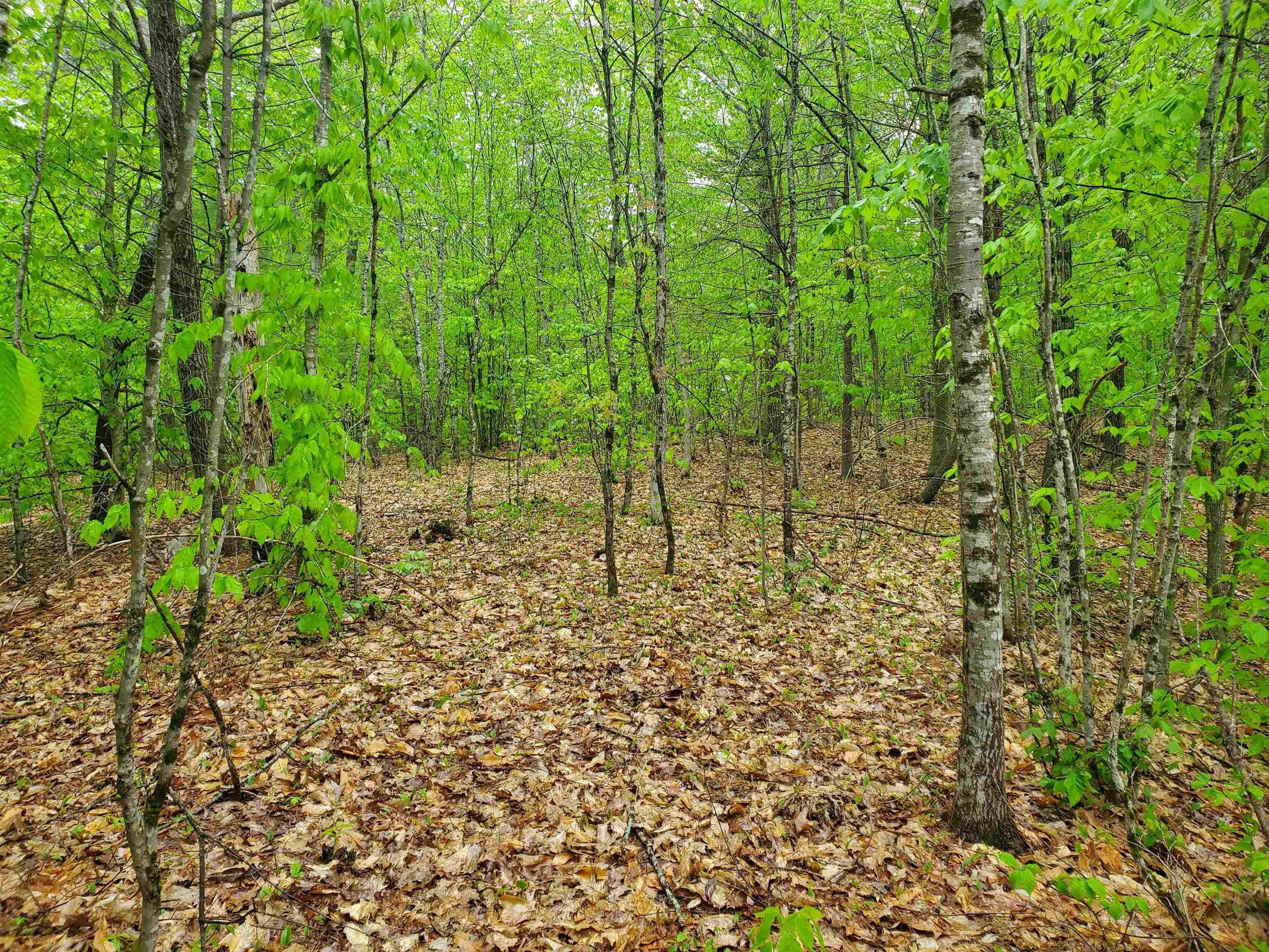 2.67 Acres, TBD Kelsey Road, Nottingham, NH 03290 Land and Farm