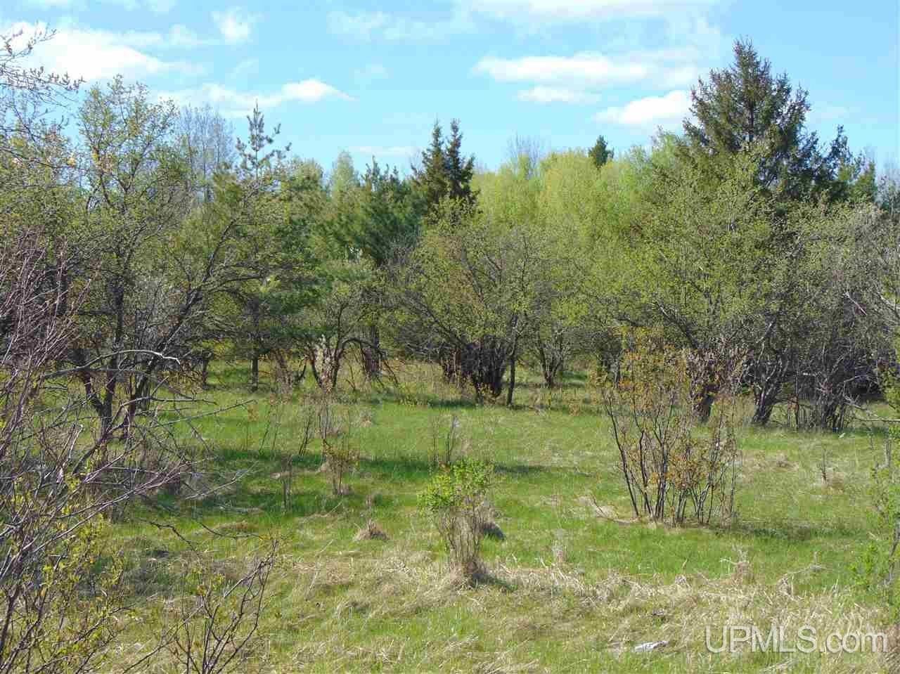 5.29 Acres, TBD M28, Bruce Crossing, MI 49912 Land and Farm