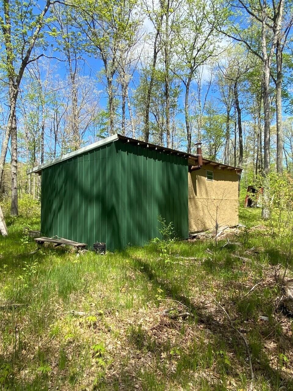 20 Acres, 537 N Peacock Trail, Baldwin, MI 49304 Land and Farm