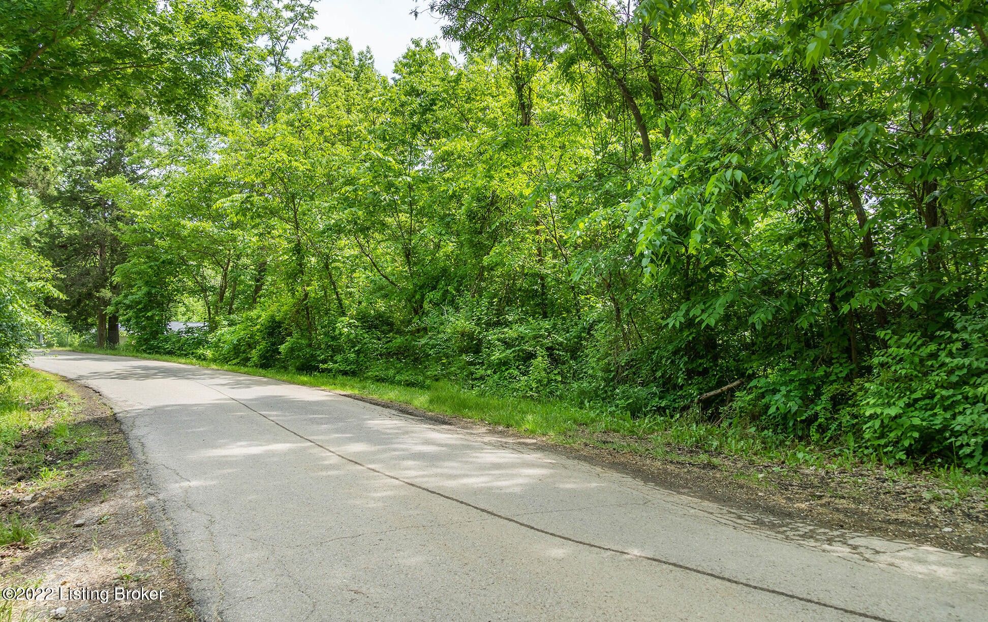 3.02 Acres, Lot 13 Union Ridge Road Buffalo Trac, Frankfort, KY 40601