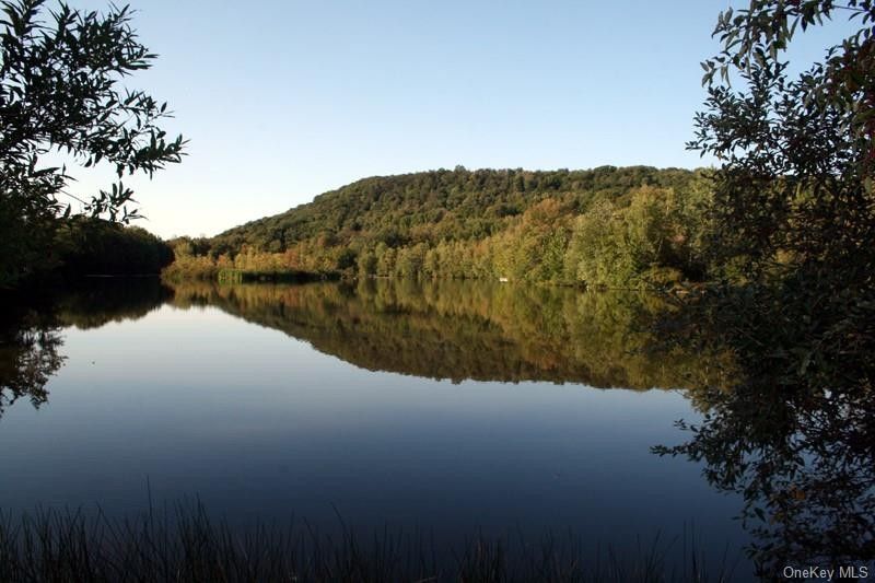 5.71 Acres, Blackberry Lake Road, Jeffersonville, NY 12748 Land and Farm