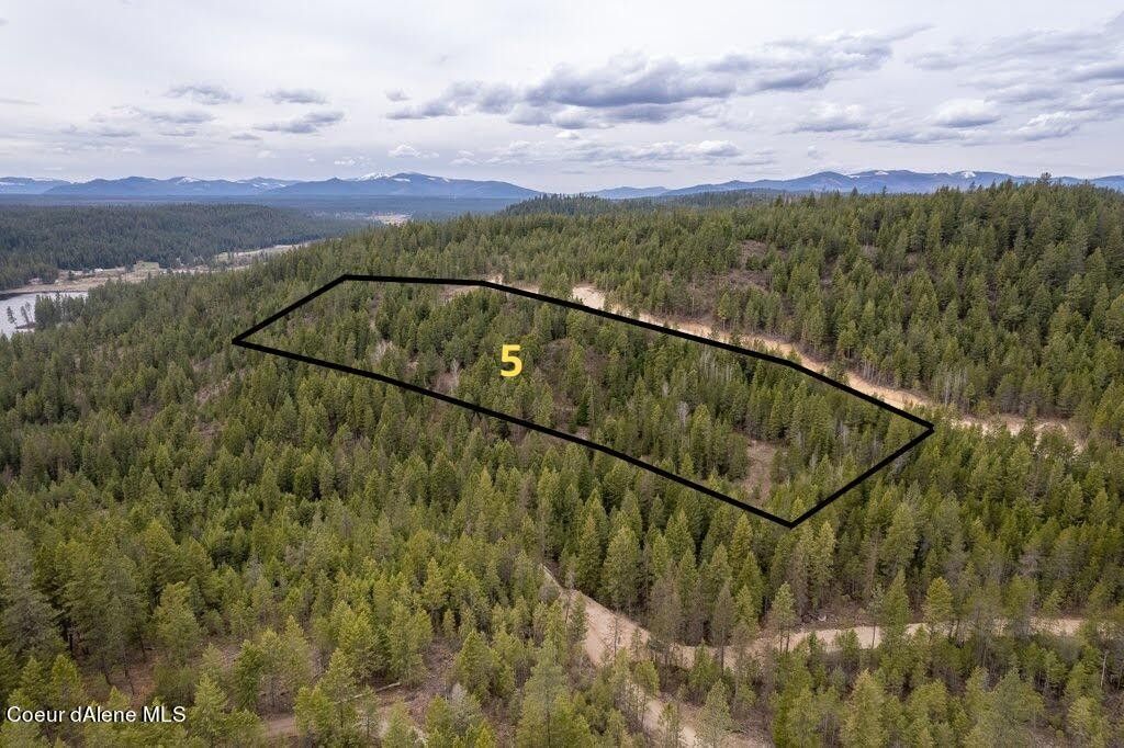 11.15 Acres, Lot 5 Kelso Woods Dr, Athol, ID 83801 Land and Farm