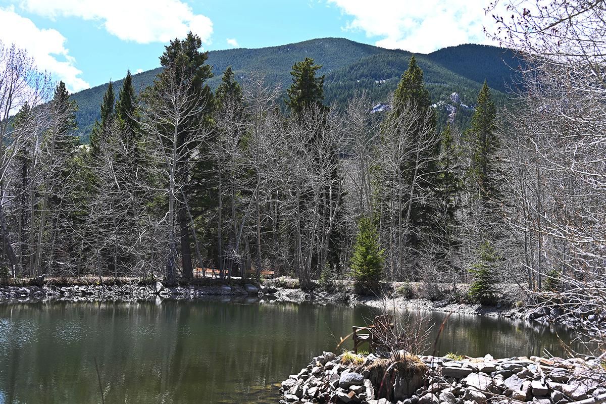 15.8 Acres, 3 Lower Wapiti Valley Road, Red Lodge, MT 59068 Land and Farm