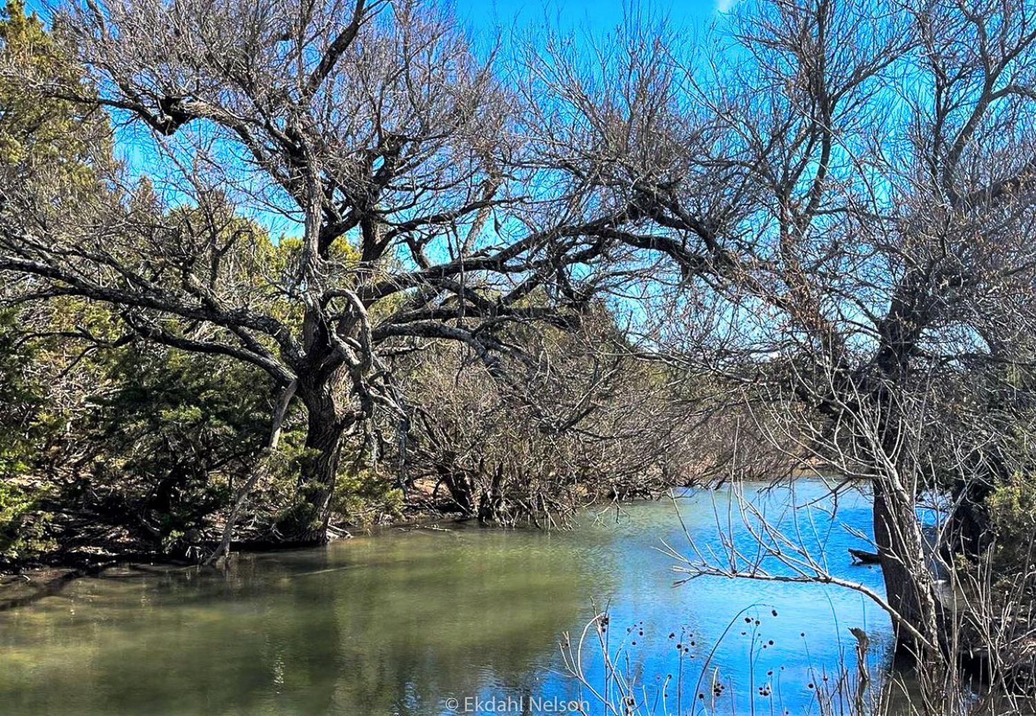 Hwy 277, Wingate, TX 79566 Land and Farm