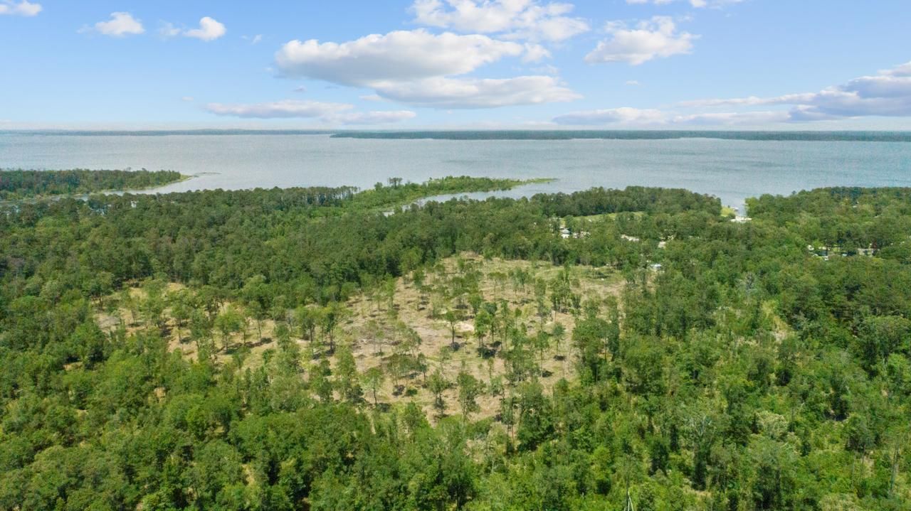 Moses, Zavalla, TX 75980 Land and Farm