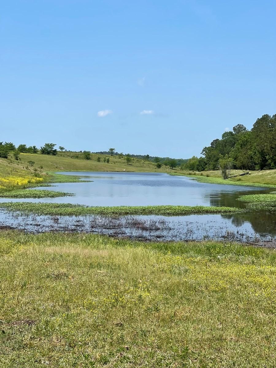 92 Acres, Heavener, OK 74937 Land and Farm