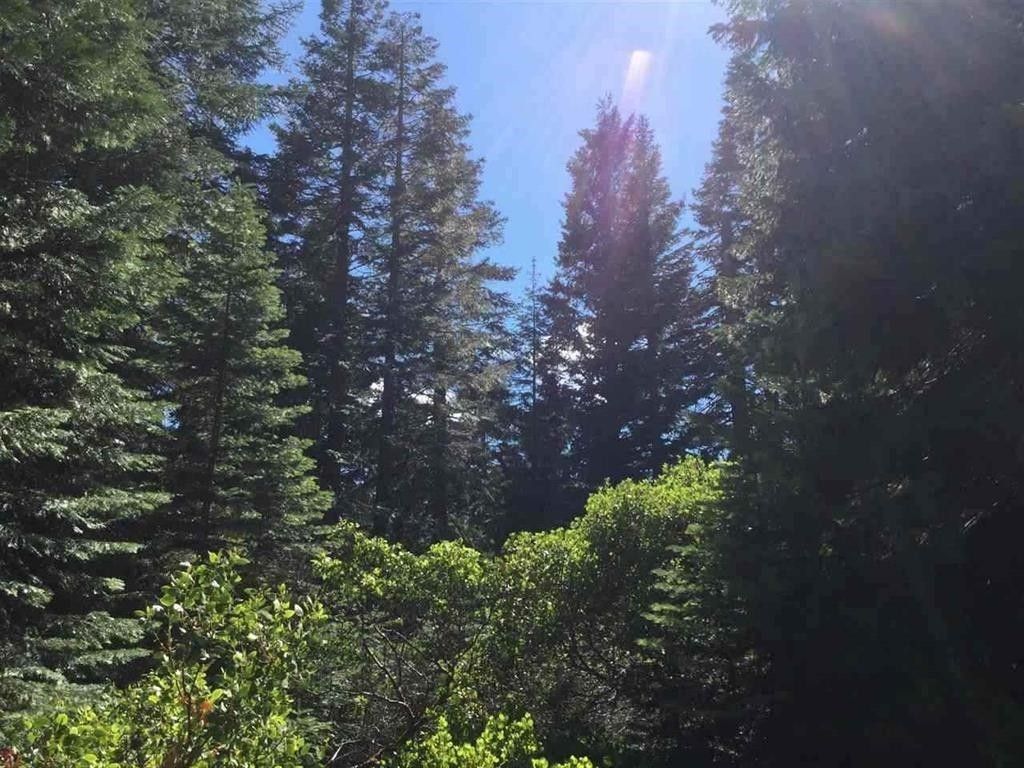 3.65 Acres, Skyview Rd, Mount Shasta, CA 96067 Land and Farm