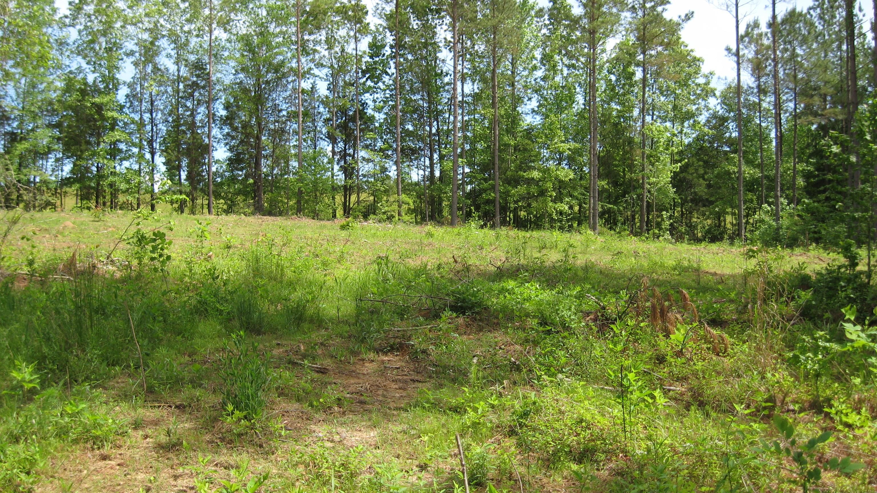 9.37 Acres, Scotts Hill, TN 38374 Land and Farm