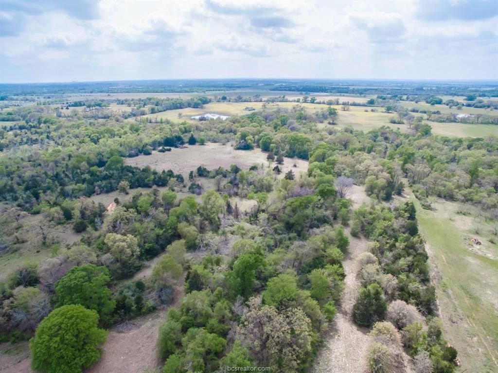 20 Acres, 221 CR 274 Lot 4, Bremond, TX 76626 Land and Farm