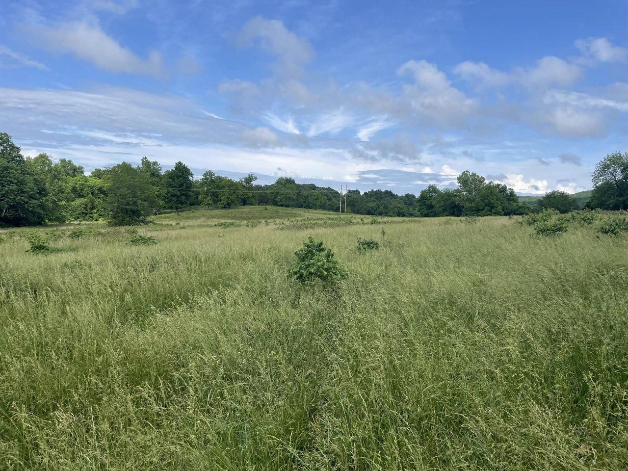 92 Acres, Shiloh Rd, Ash Flat, AR 72521 Land and Farm