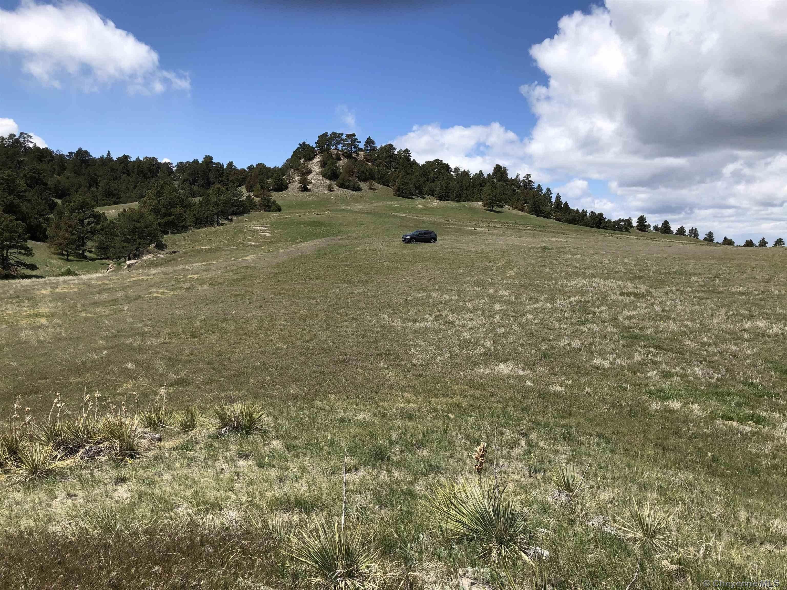 50 Acres, Parcel 124 PINE RIDGE RANCH, Fort Laramie, WY 82212 Land and Farm