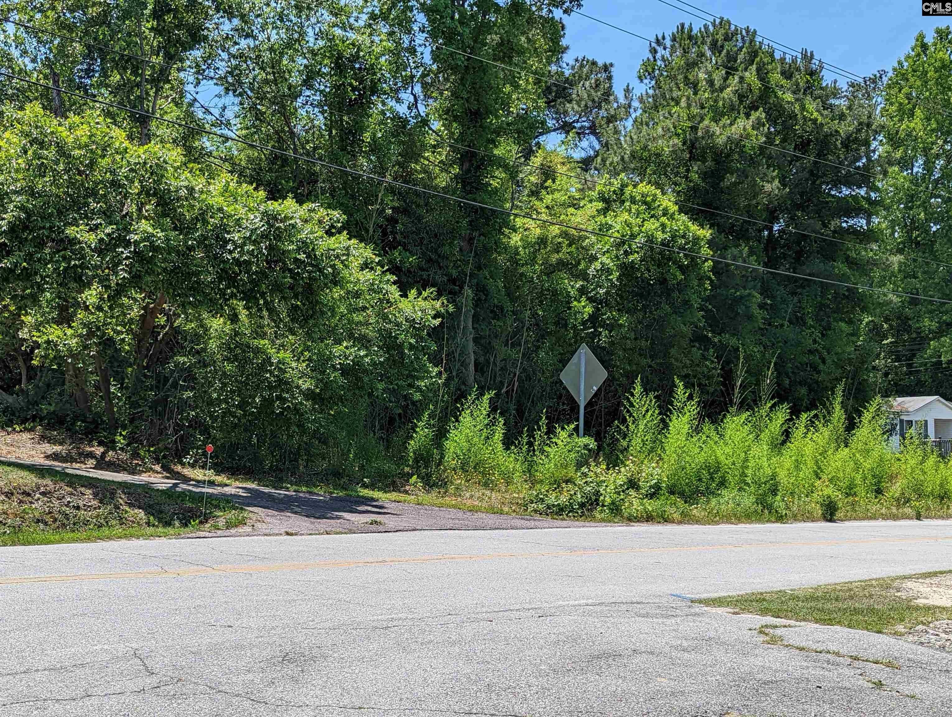 1.48 Acres, 210 Swartz Road, Lexington, SC 29072 Land and Farm