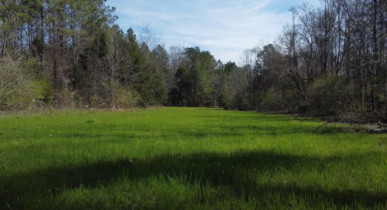 895 Acres, Letohatchee, AL 36047 Land and Farm