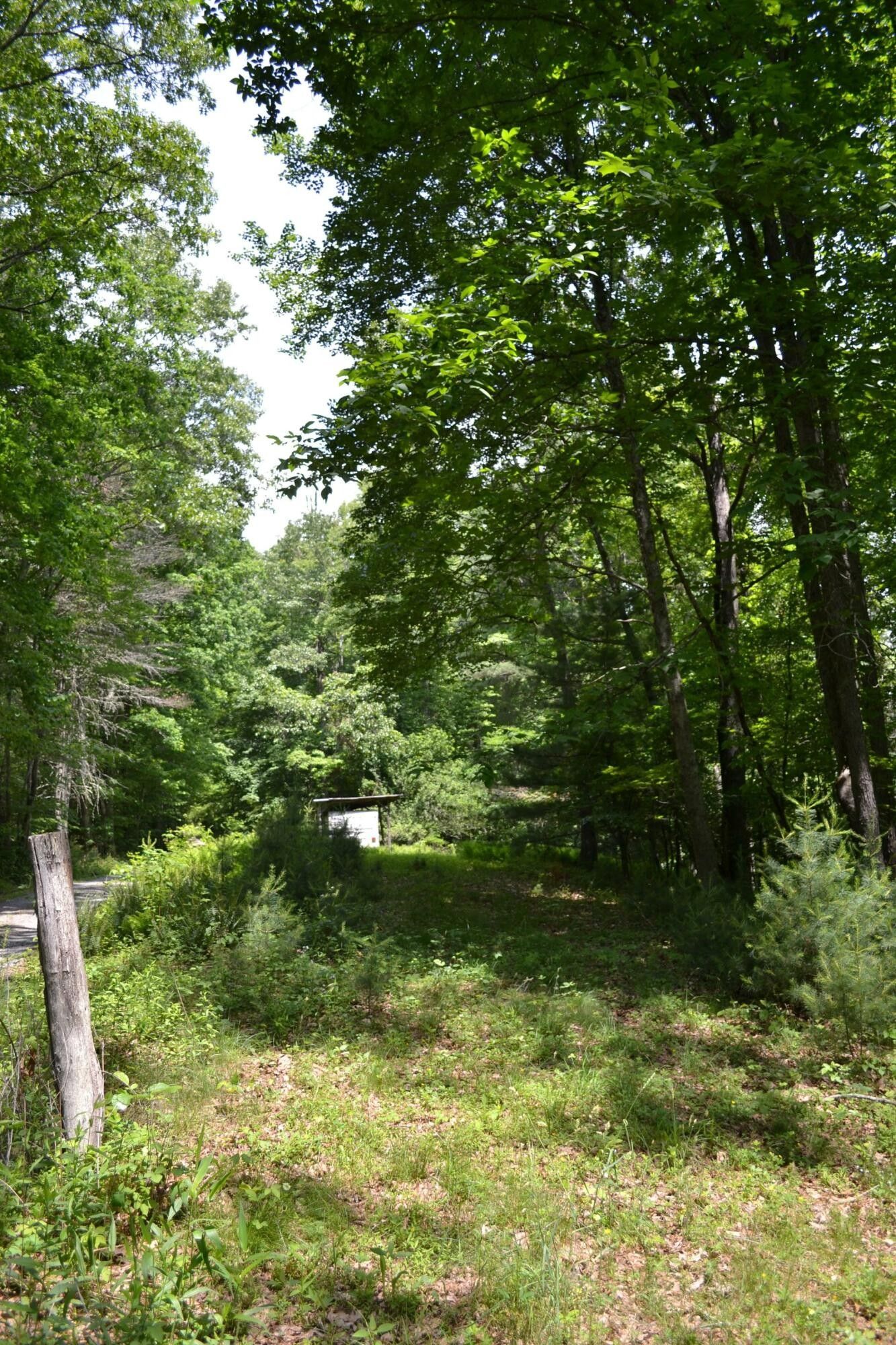 3 Acres, 1400 Northern Trail, Hillsboro, WV 24946 Land and Farm
