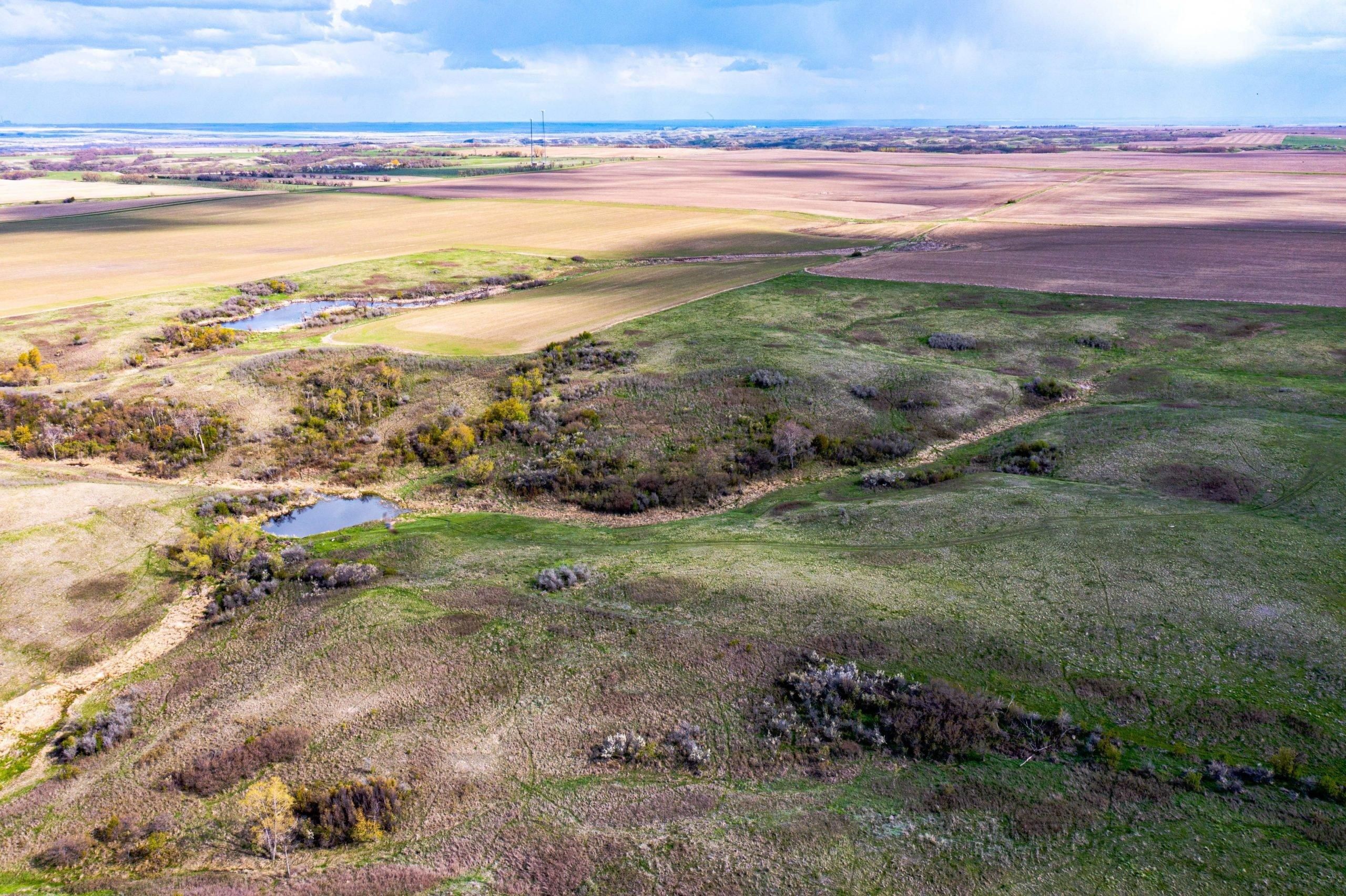 69.3 Acres, Pick City, ND 58545 Land and Farm