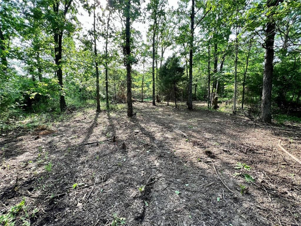 0.33 Acres, Lake Harmony Dam, Fredericktown, MO 63645 Land and Farm