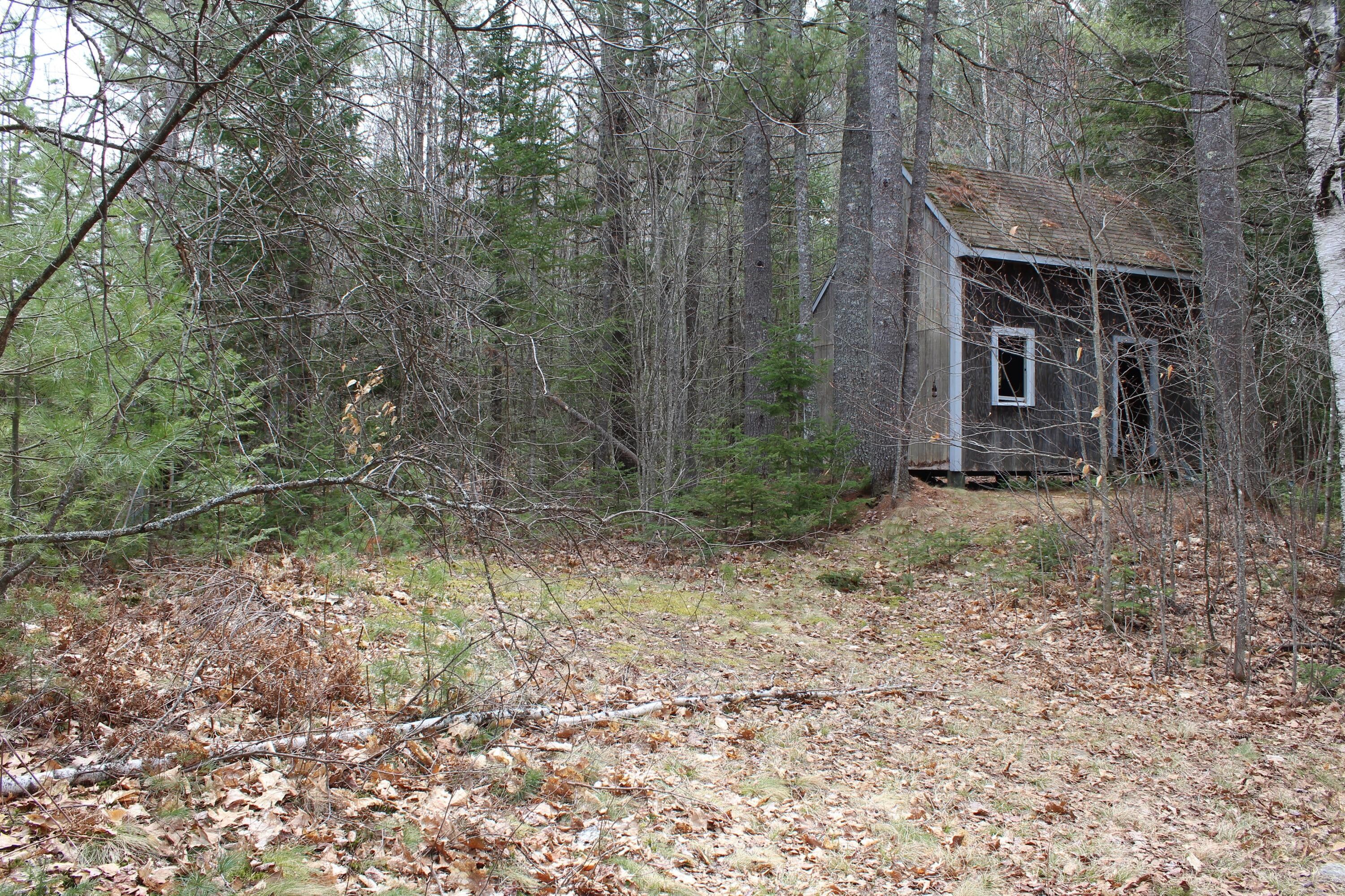 40 Acres, Hartford, ME 04220 Land and Farm