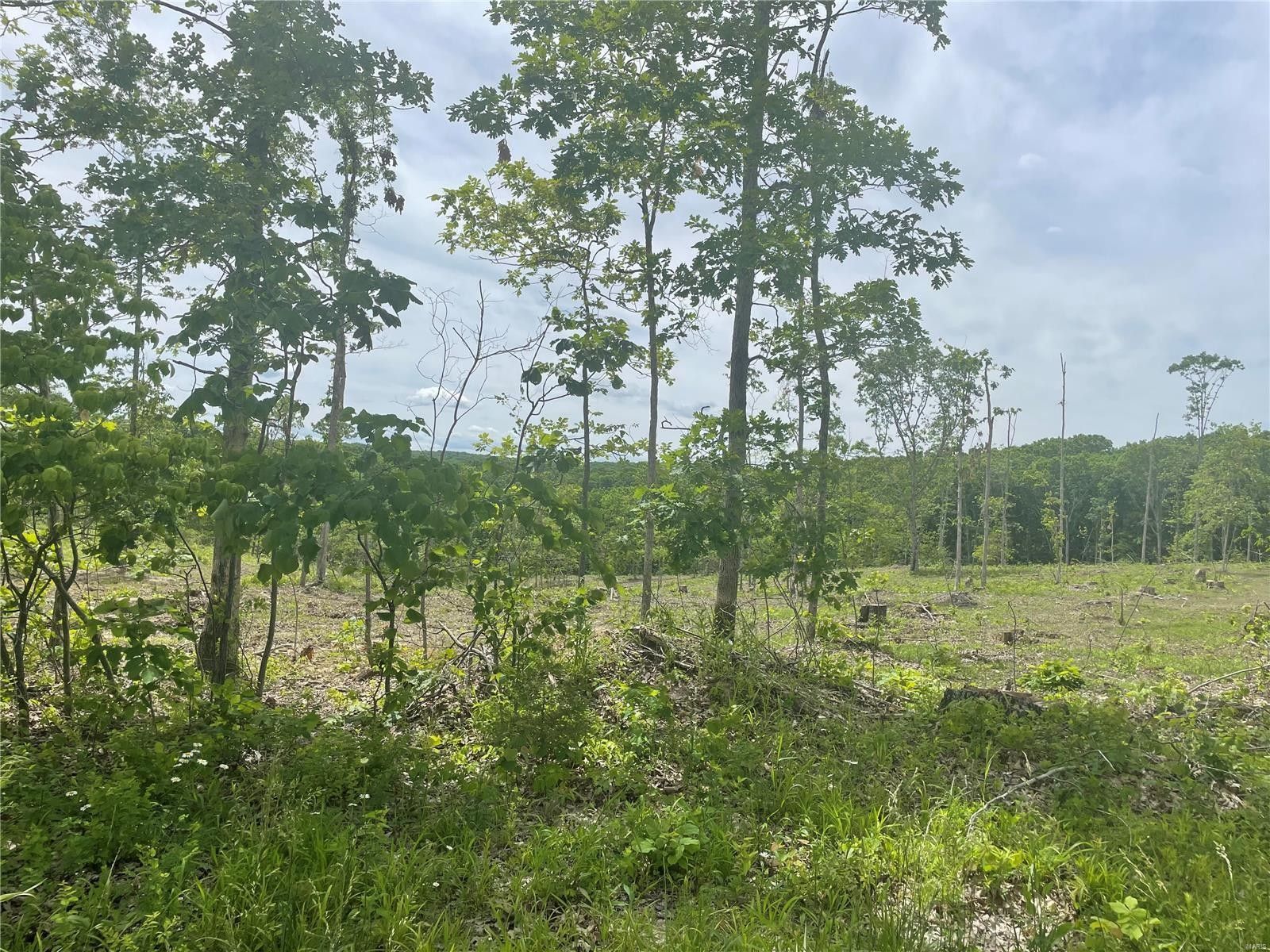 7 Acres, 502 Seven Springs, Lonedell, MO 63077 Land and Farm
