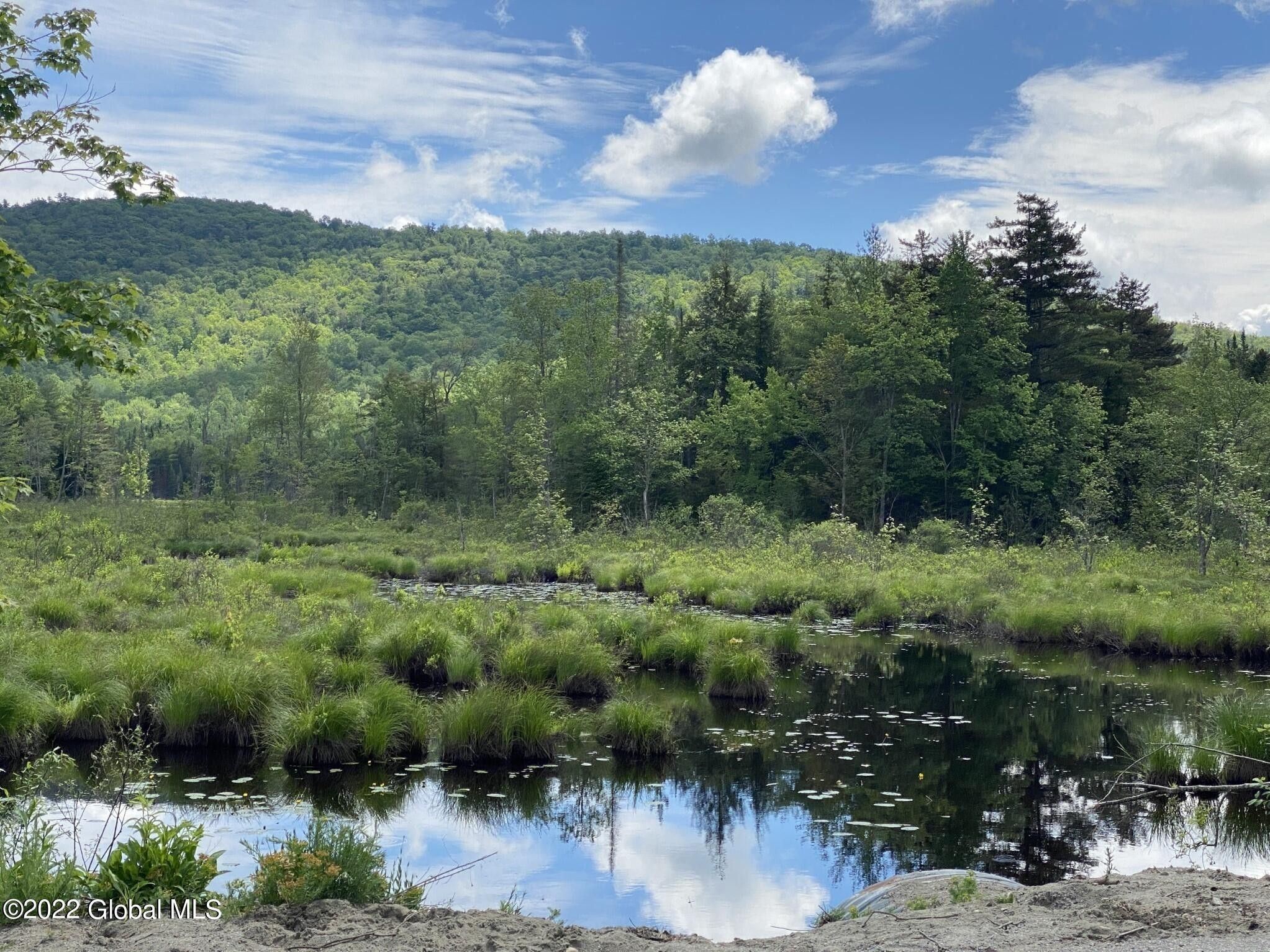 50 Acres, 0 Alder Brook Road, Brant Lake, NY 12815 Land and Farm