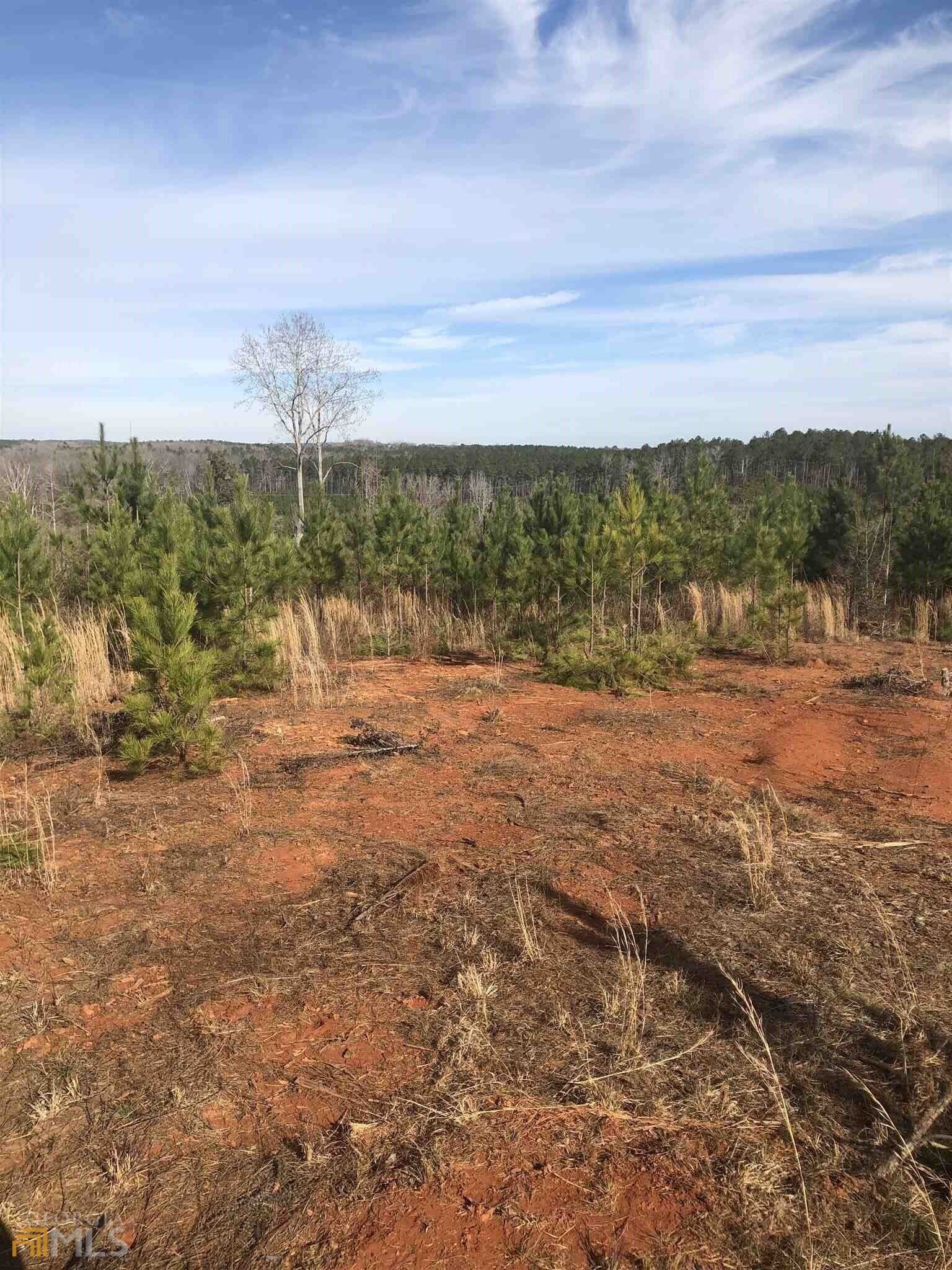 52 Acres, 0 Triune Mill Road, Thomaston, GA 30286 Land and Farm