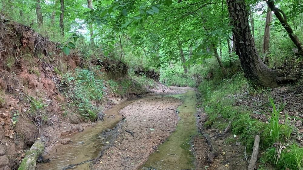 38 Acres, Elberton, GA 30635 Land and Farm