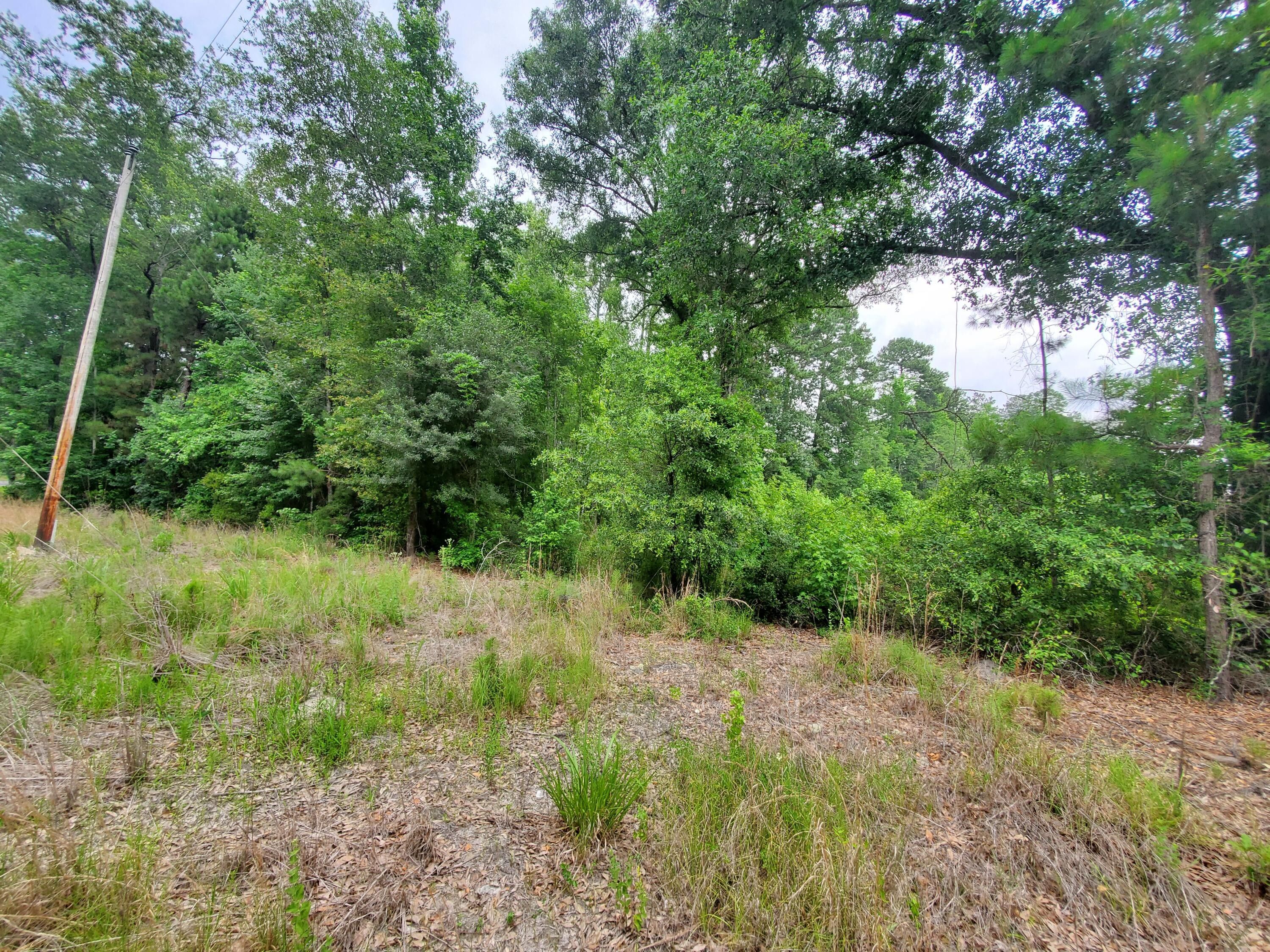 3.2 Acres, 0 Second Texas Road, Saint SC 29477 Land and Farm