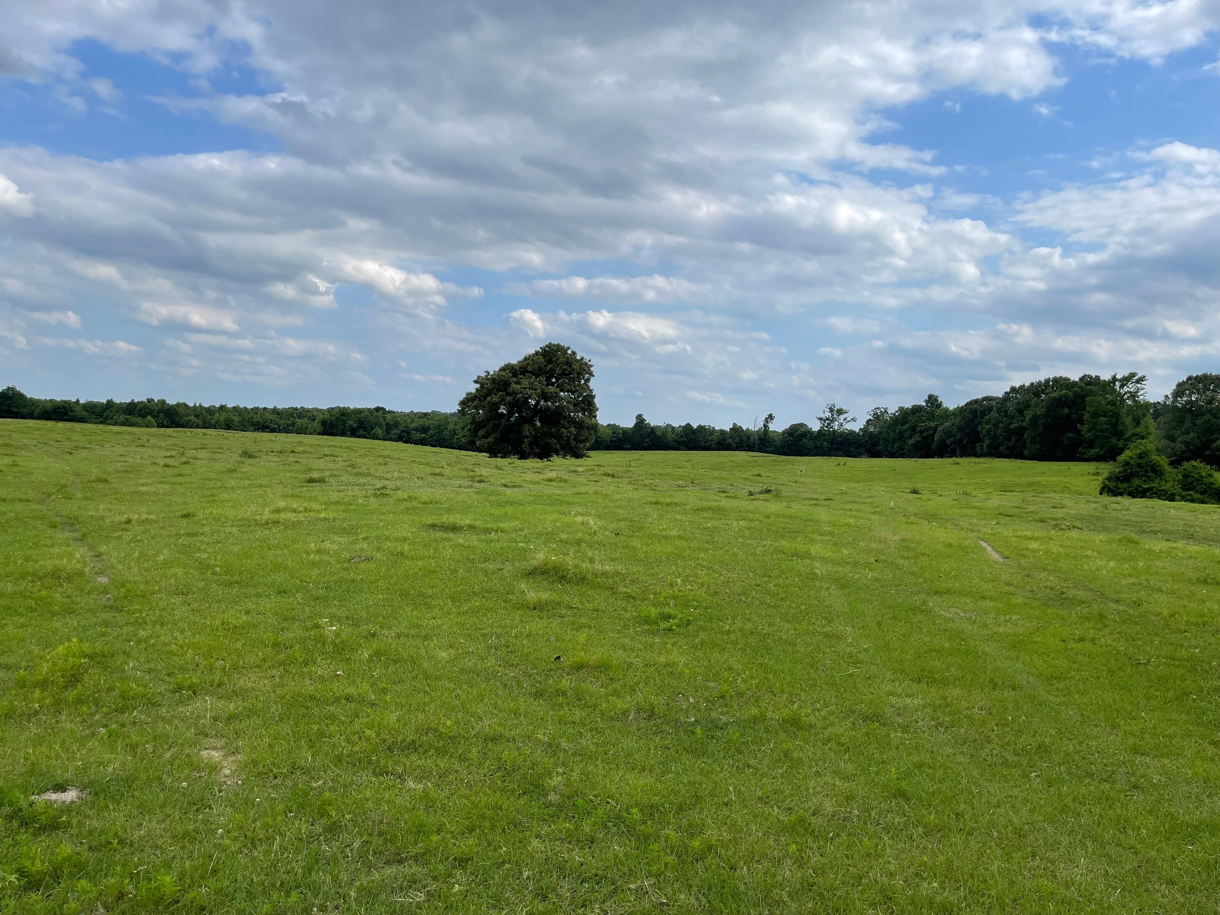 320 Acres, Idabel, OK 74745 Land and Farm