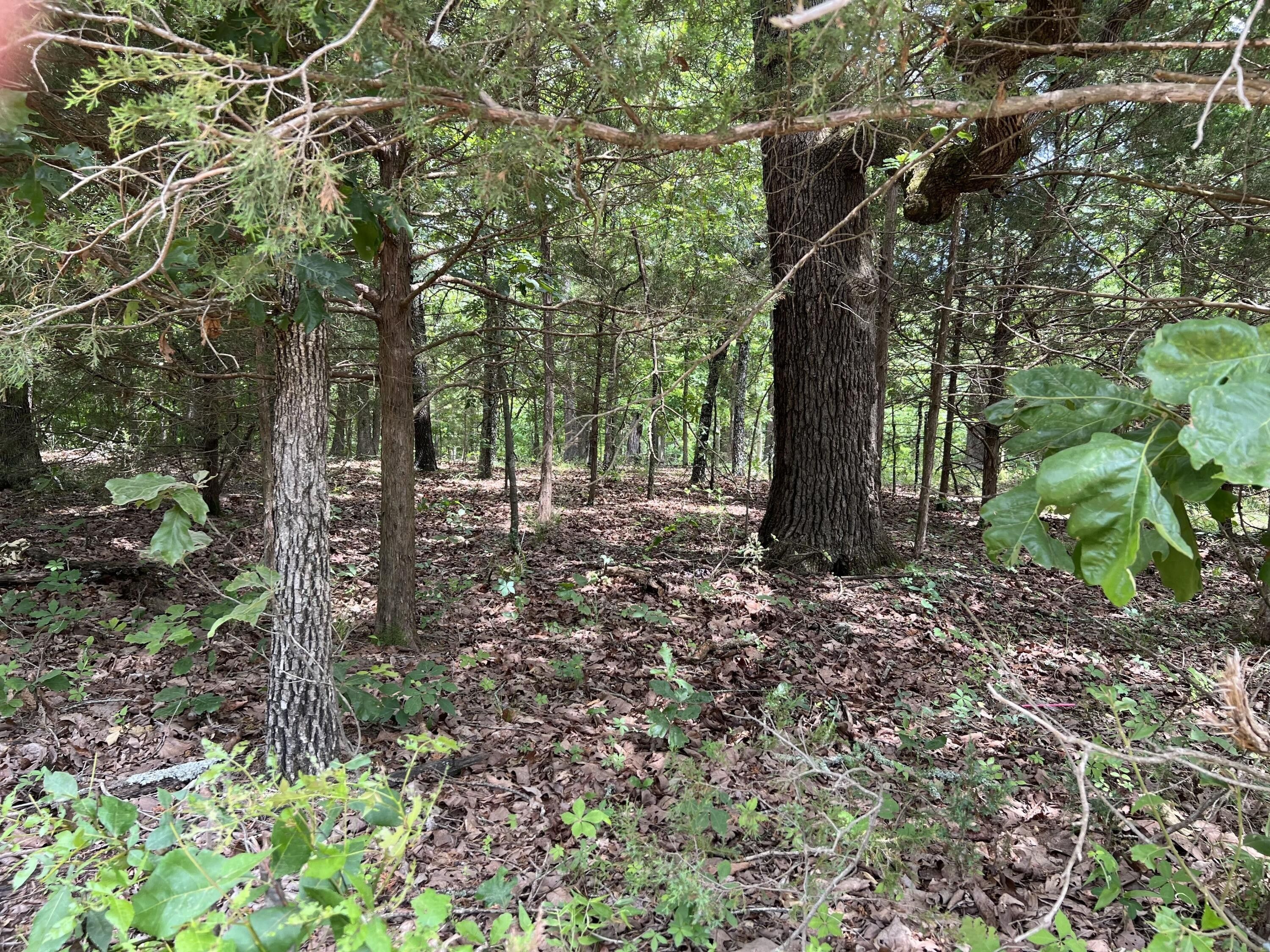 10.36 Acres, Lot 13 Fryatt Cemetery Road, Mammoth Spring, AR 72554