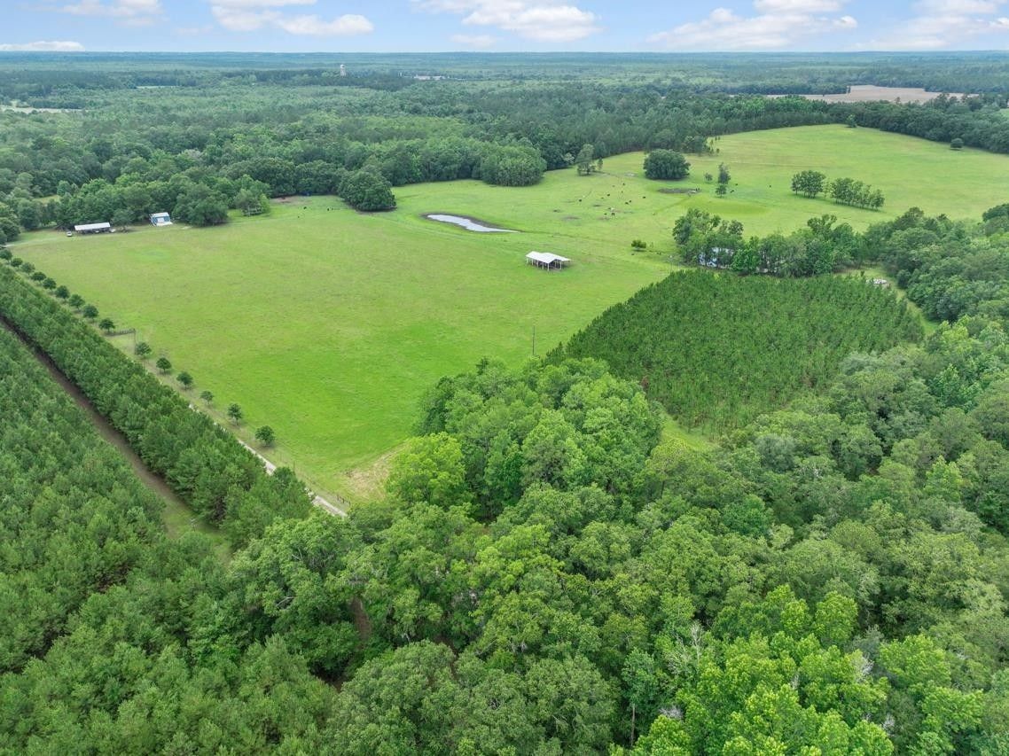 155 Acres, 740 Kinsey, Monticello, FL 32344 Land and Farm