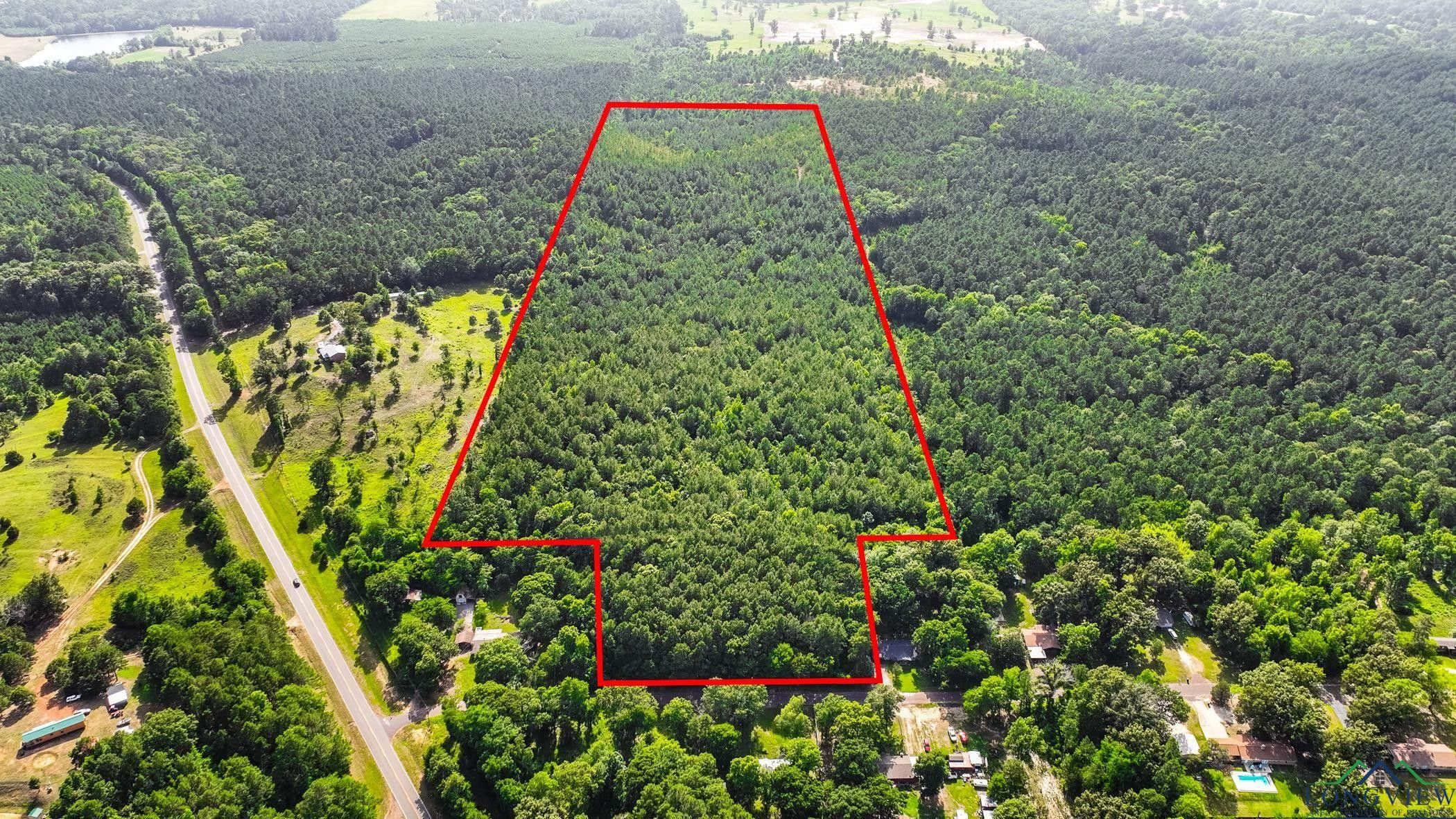 40 Acres, 1561 Wendy Rd, Diana, TX 75640 Land and Farm