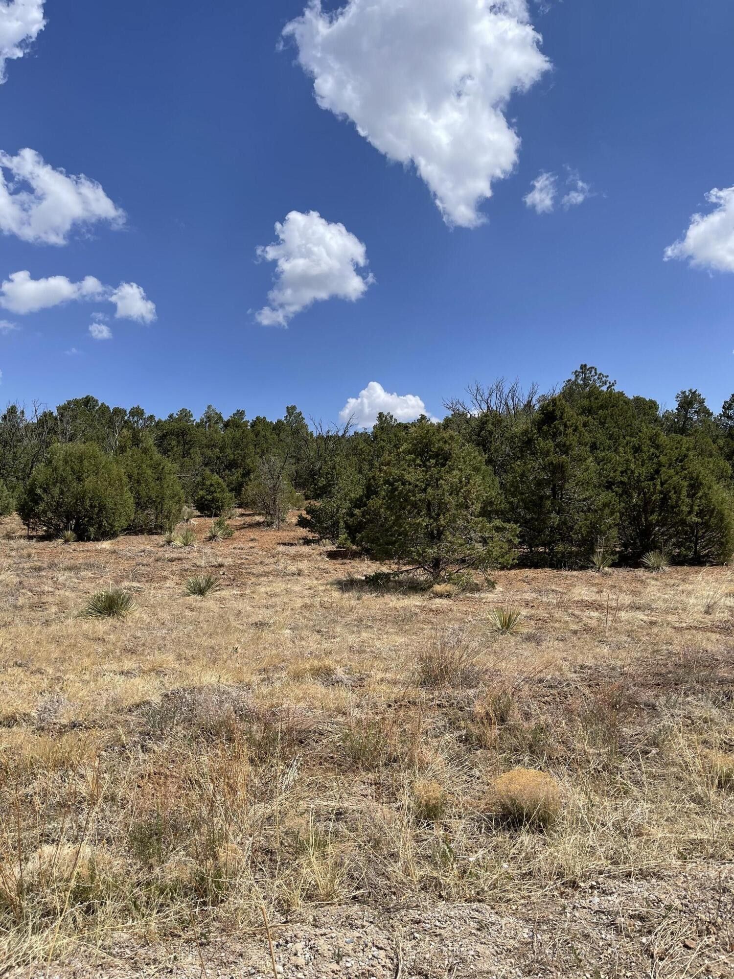 5.36 Acres, 35 Anaya Place, Tijeras, NM 87059 Land and Farm