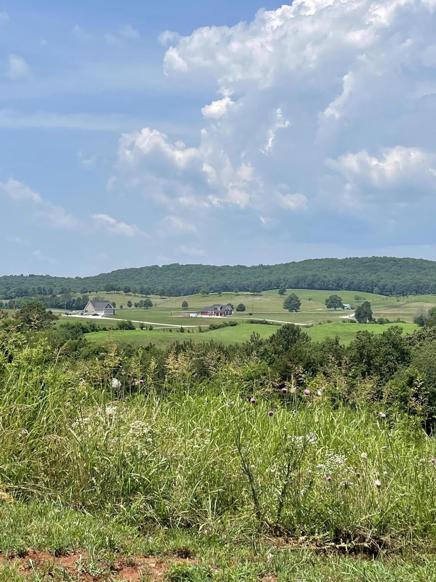 5.59 Acres, 4617 Dalton Pike, Cleveland, TN 37323 Land and Farm