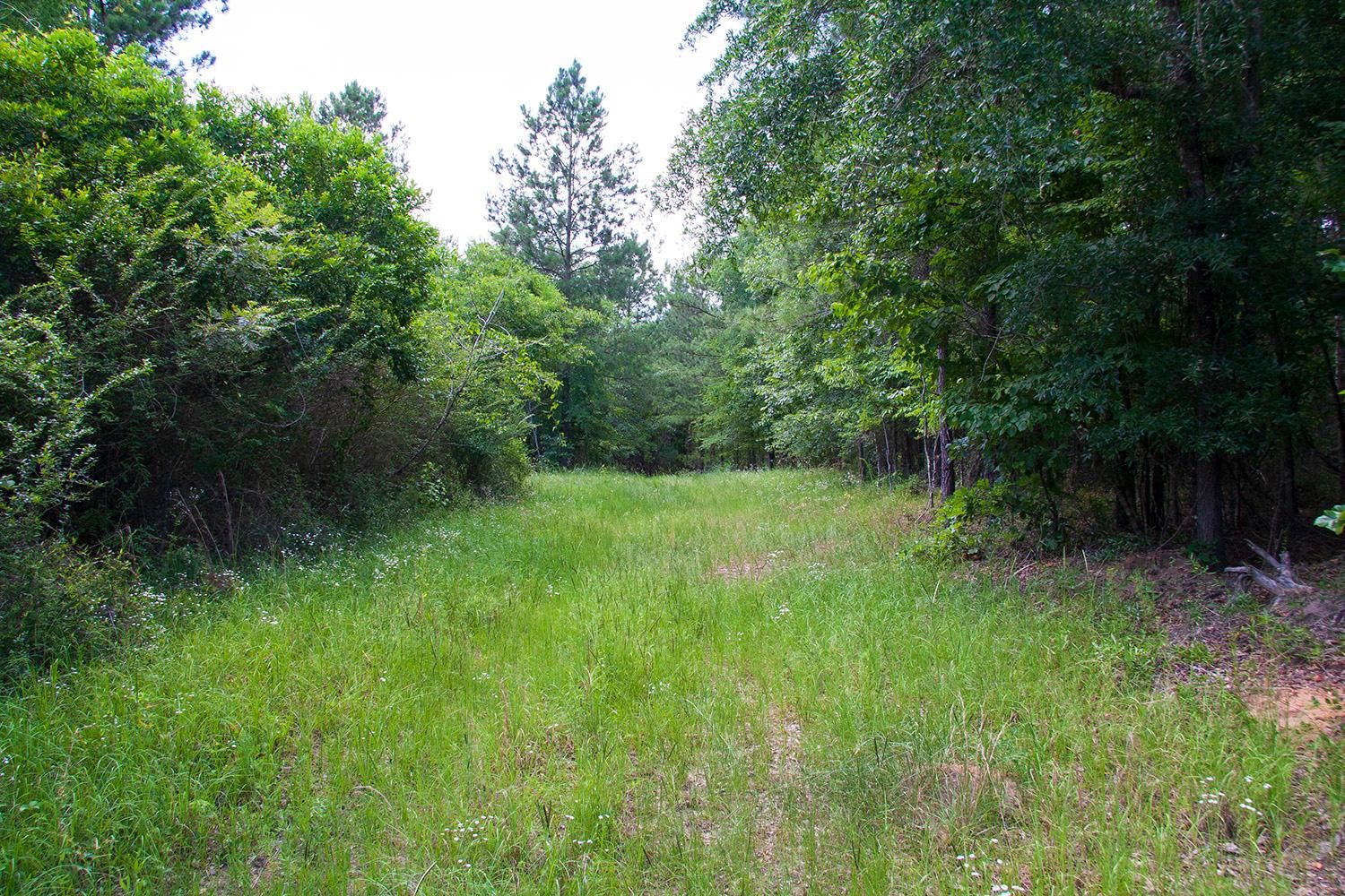 Hephzibah McBean Road, Hephzibah, GA 30815 MLS 901 Land and Farm