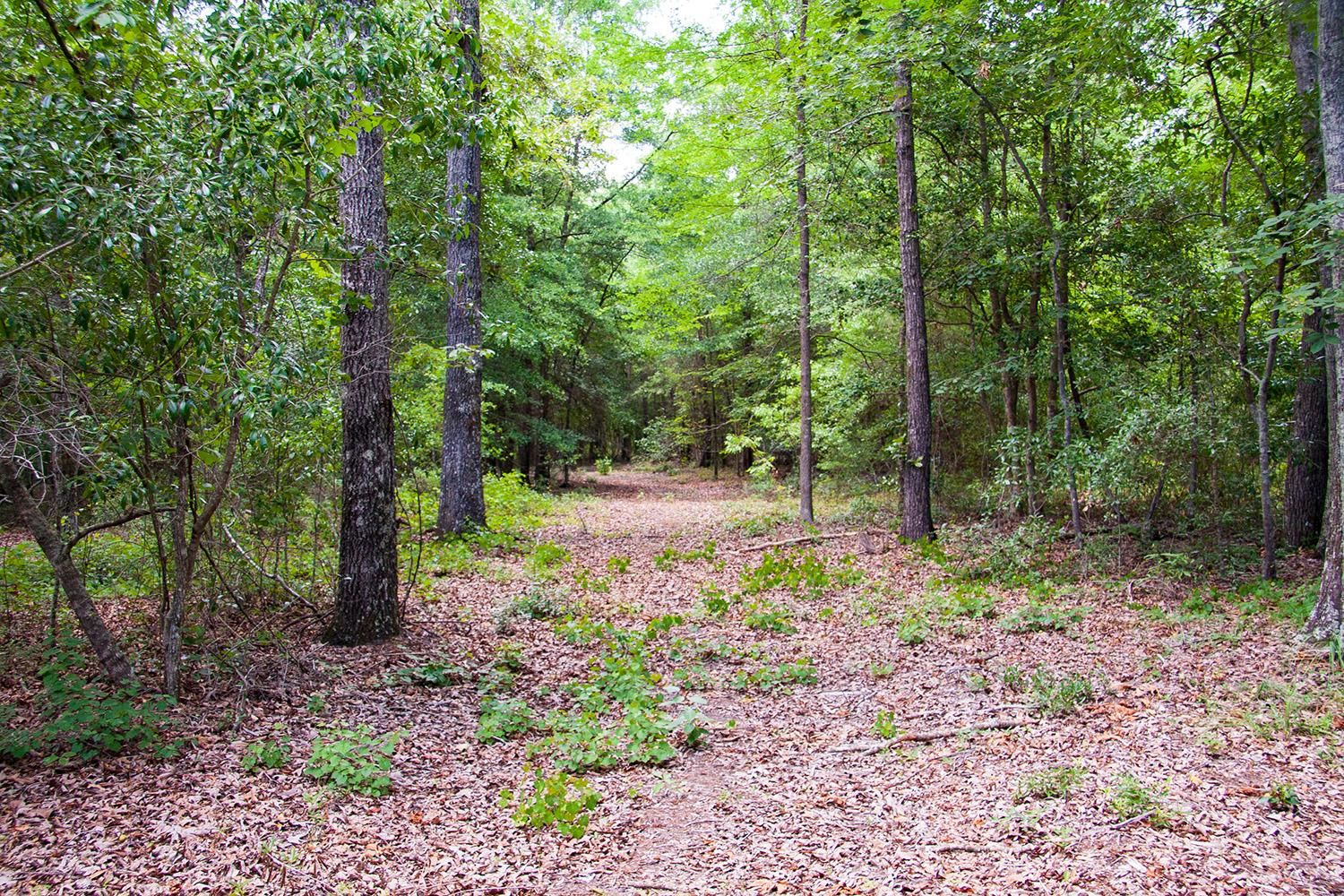 Hephzibah McBean Road, Hephzibah, GA 30815 MLS 903 Land and Farm