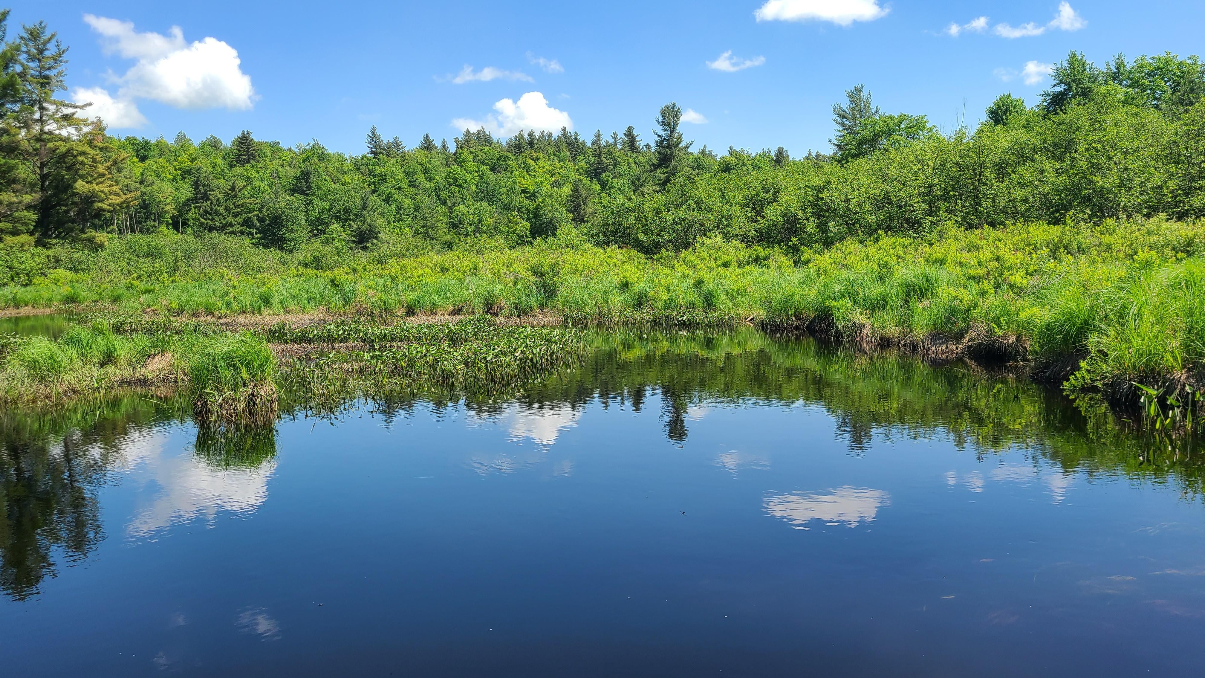 Bingo Road Dr. (gated/locked must call 1st), Edwards, NY 13635 MLS