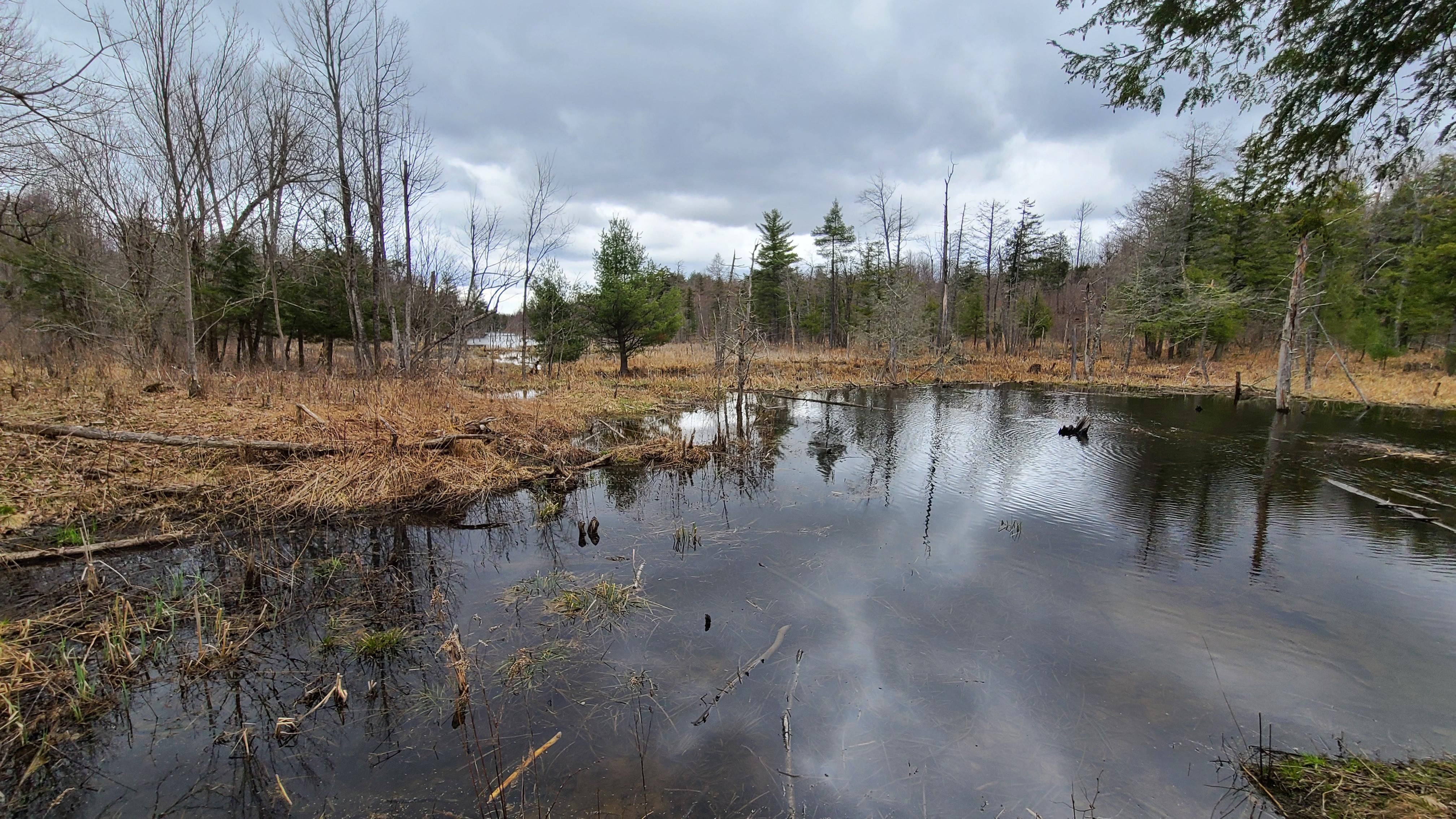 Bingo Road Drive (Private locked gate, call to see), Edwards, NY 13635