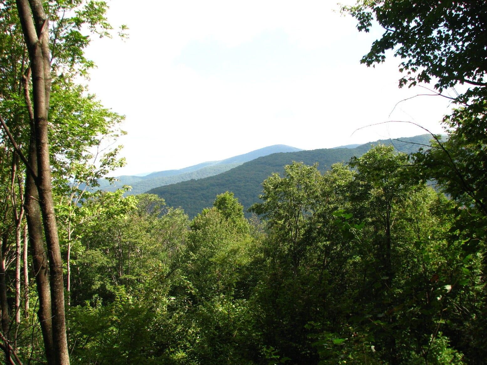 2.67 Acres, Tbd Rustic Log Cabin Lane, Roan Mountain, TN 37687 Land