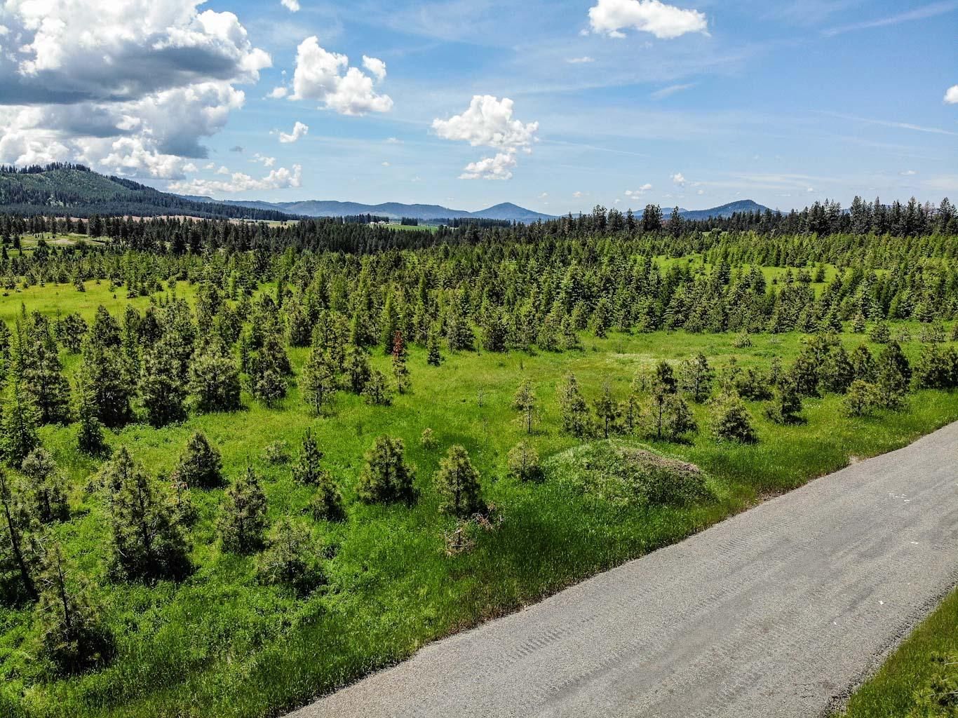 20.08 Acres, NNA Parcel 6 S Hawthorne Drive, Harrison, ID 83833 Land