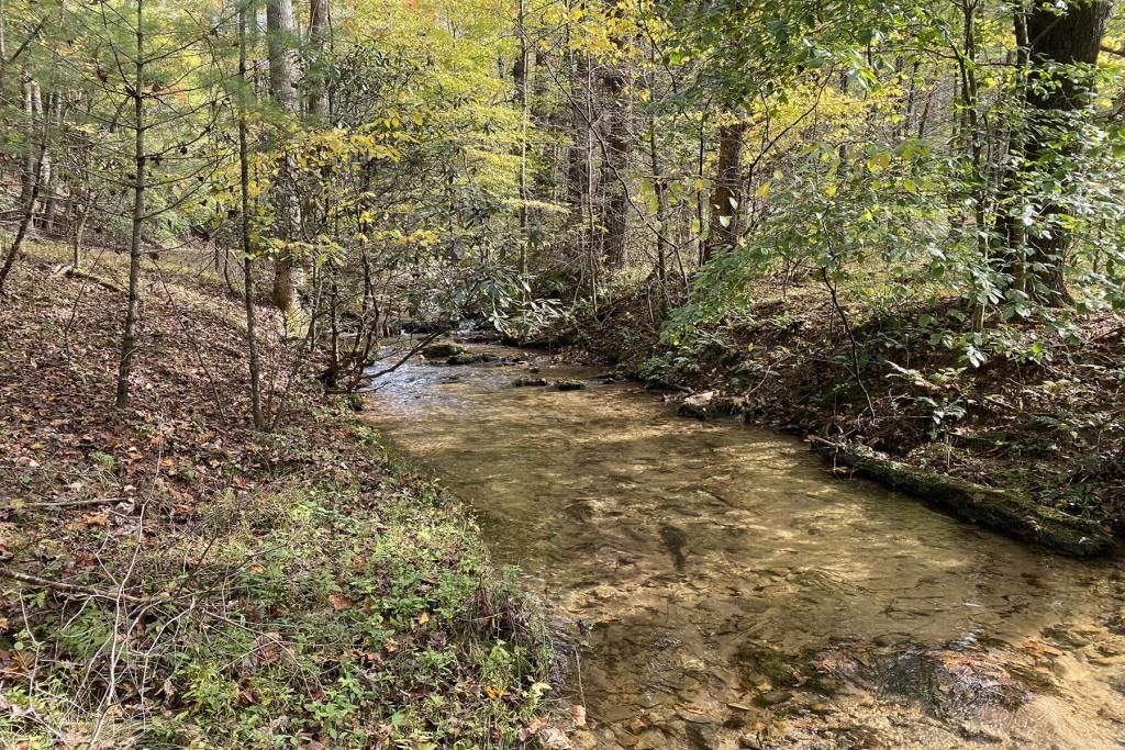 80 Acres, 24481 Highway, Suches, GA 30572 Land and Farm