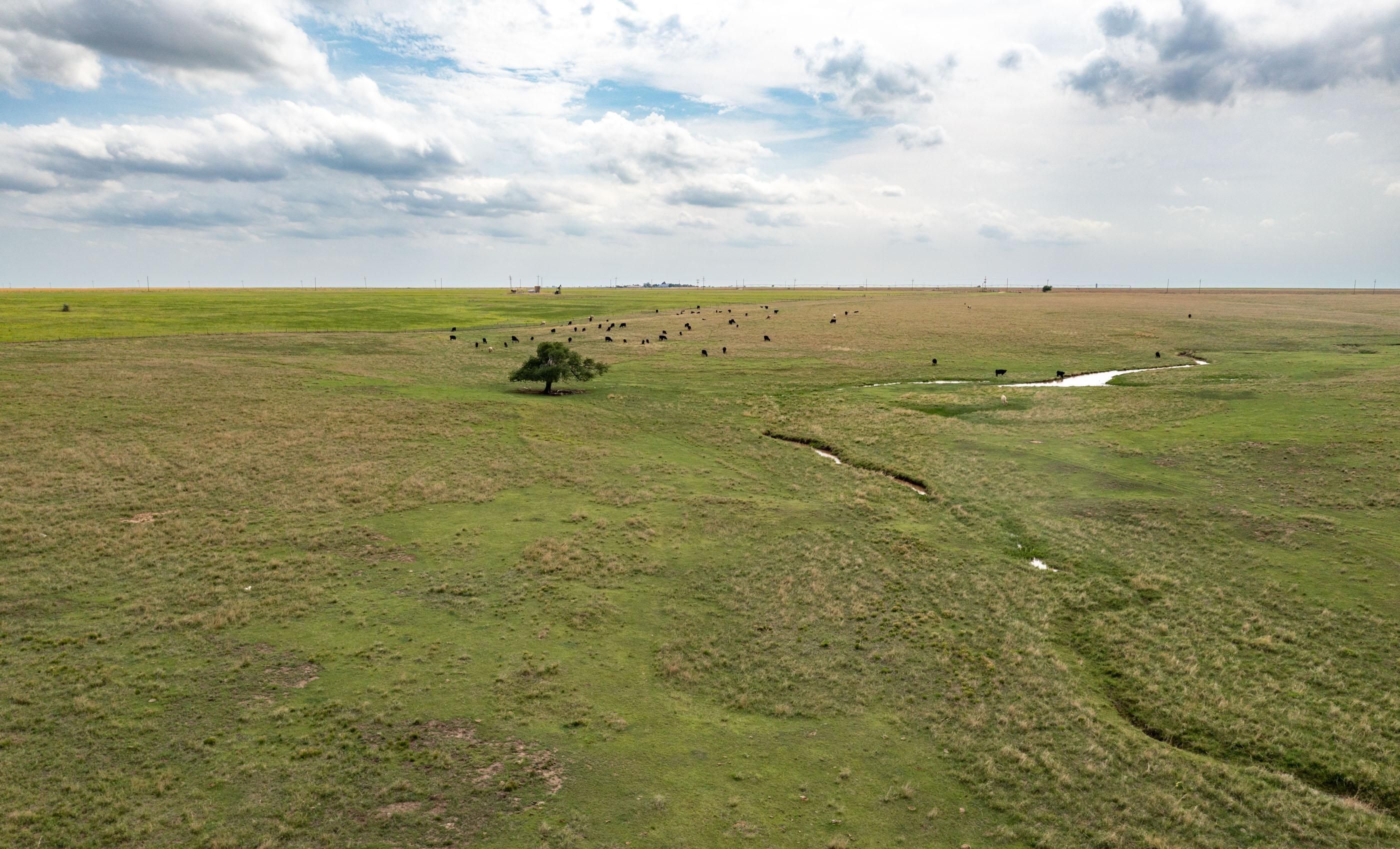 647.35 acres in Booker, TX, 79005 Land and Farm