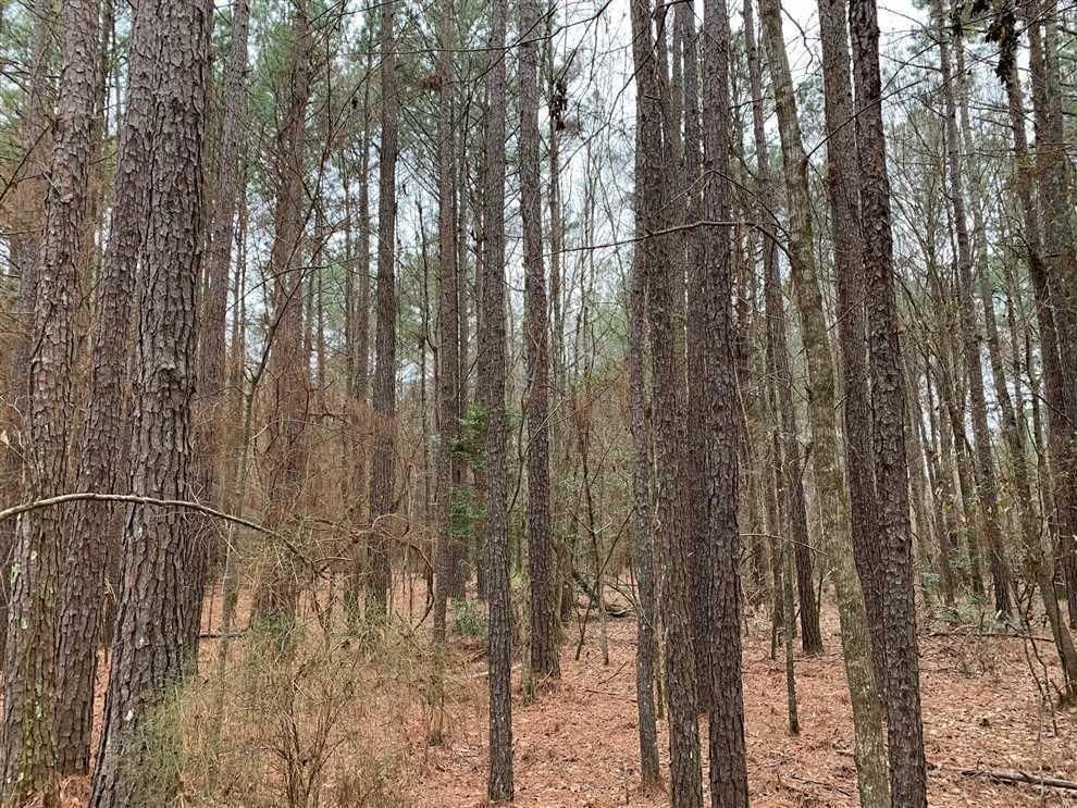 13 Acres, Mars Hill Road, Downsville, LA 71234 Land and Farm