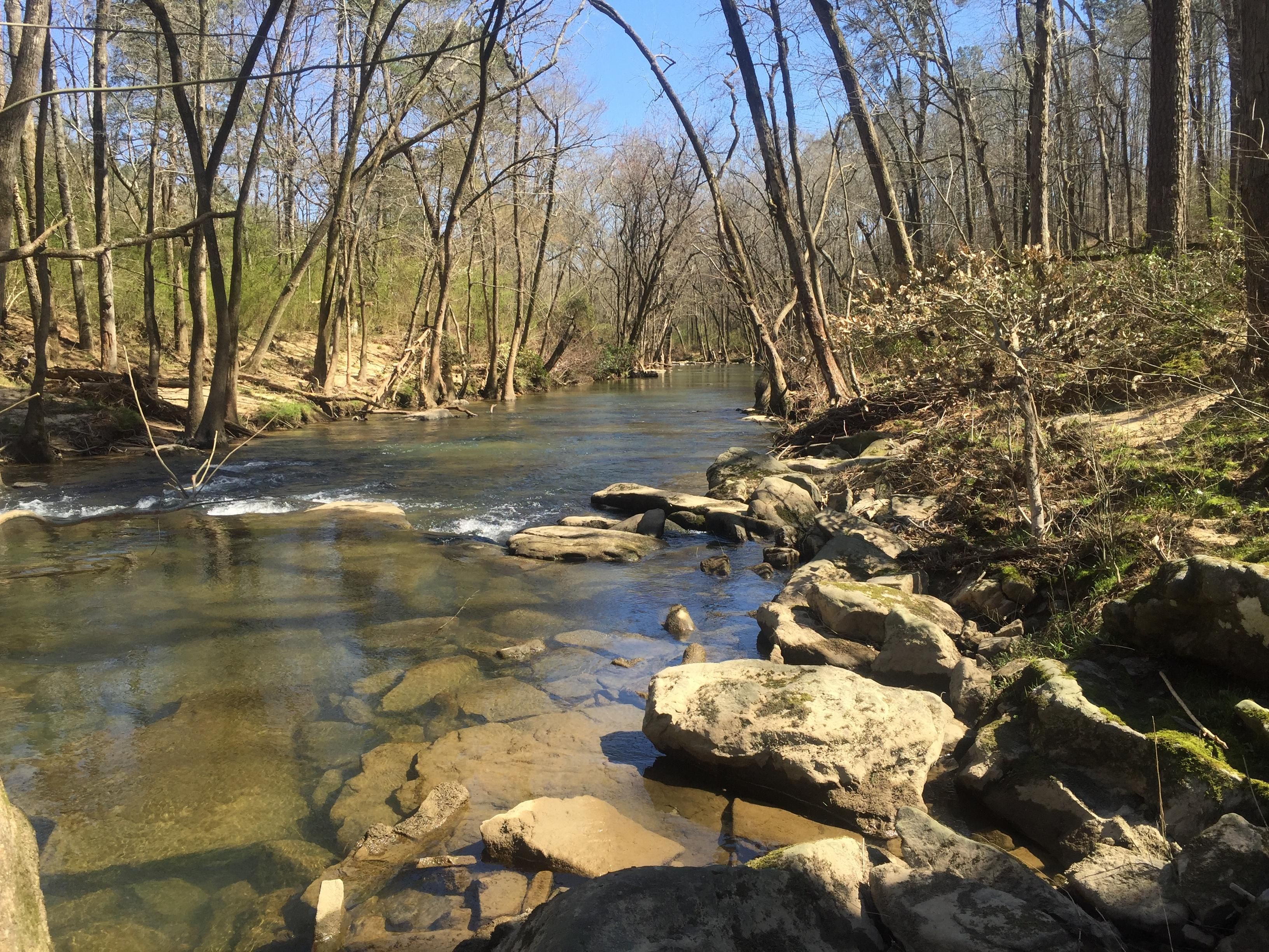 County Road 1749, Holly Pond, AL 35083 MLS 1319265 Land and Farm