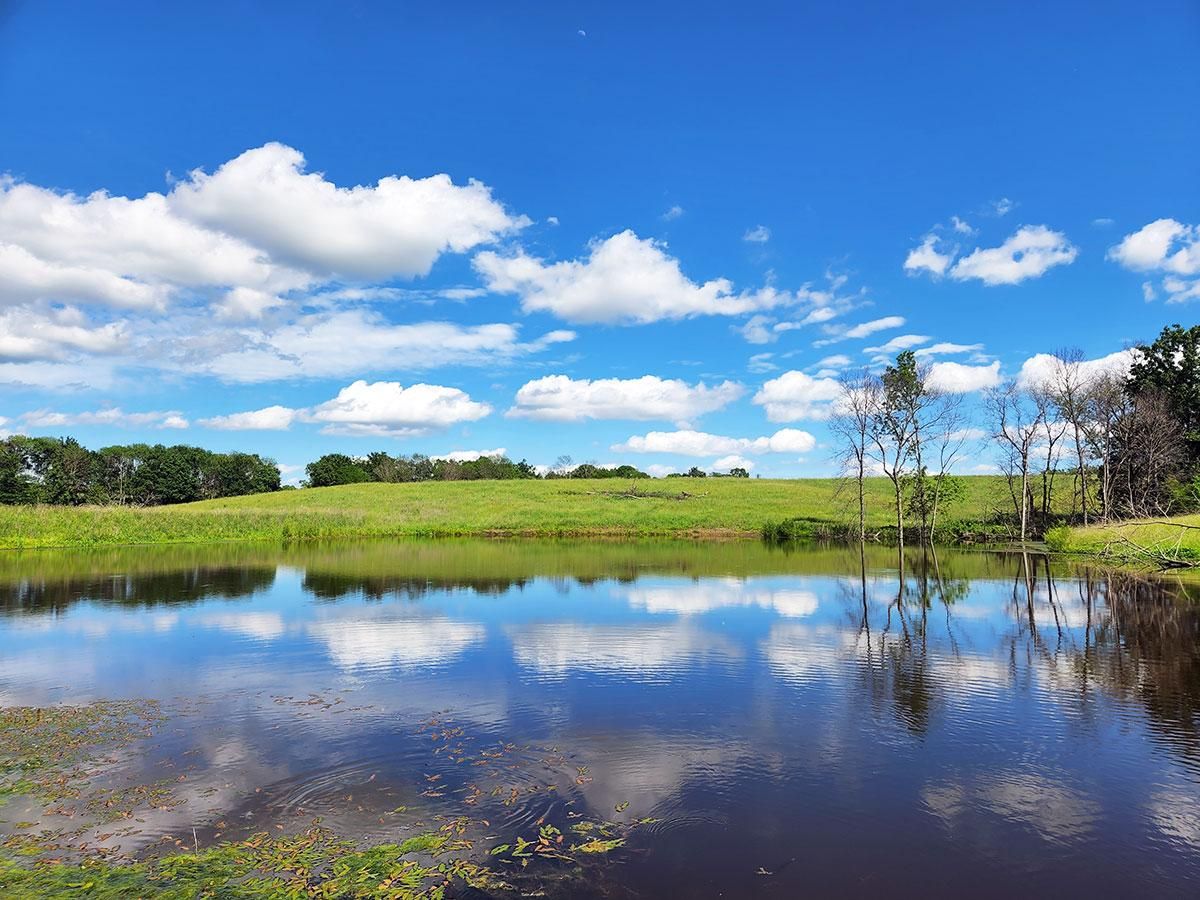 390 Acres, Pleasanton, IA 50065 Land and Farm