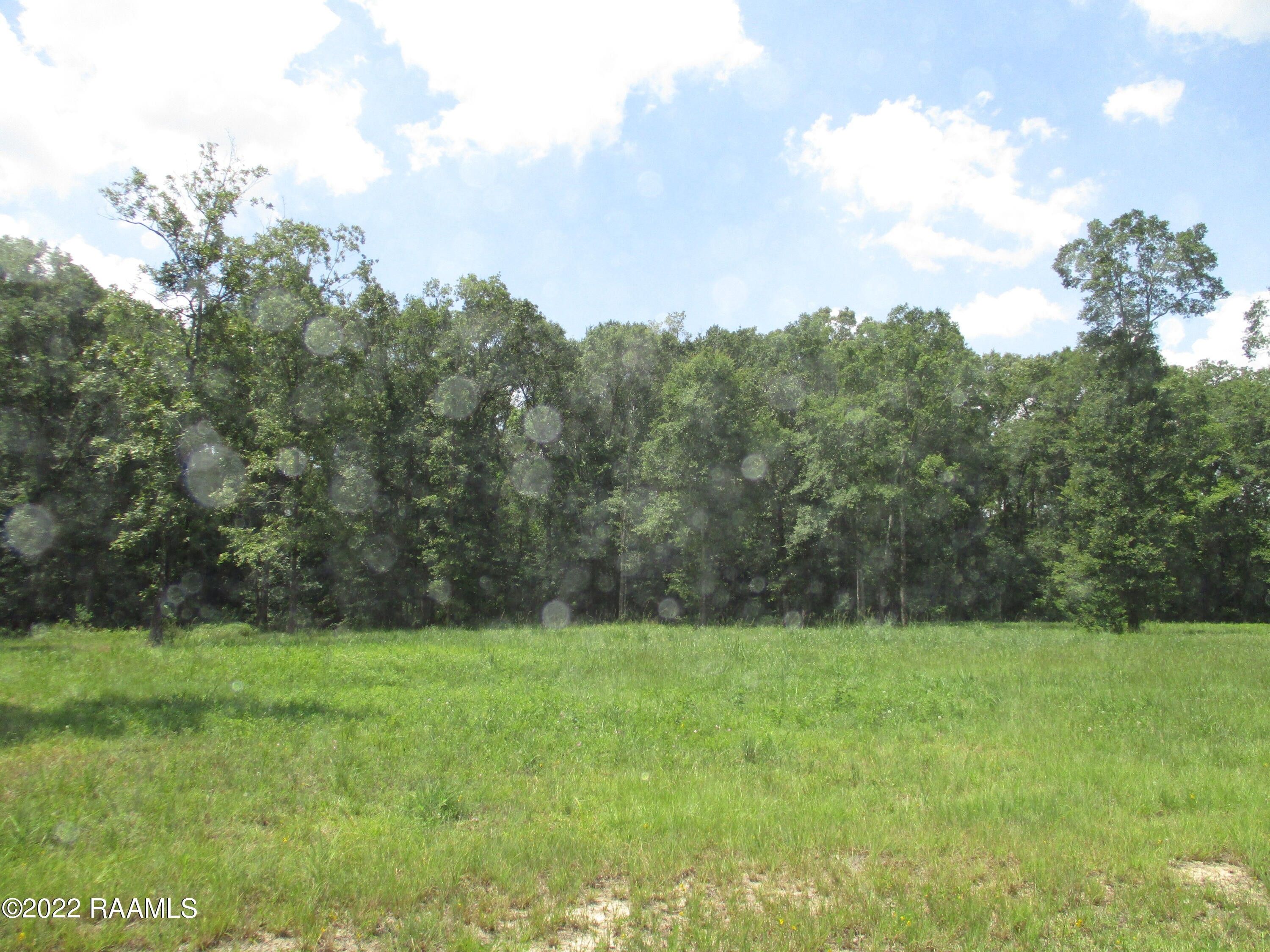 3 Acres, Tbd Chicot Park Rd, Ville Platte, LA 70586 Land and Farm