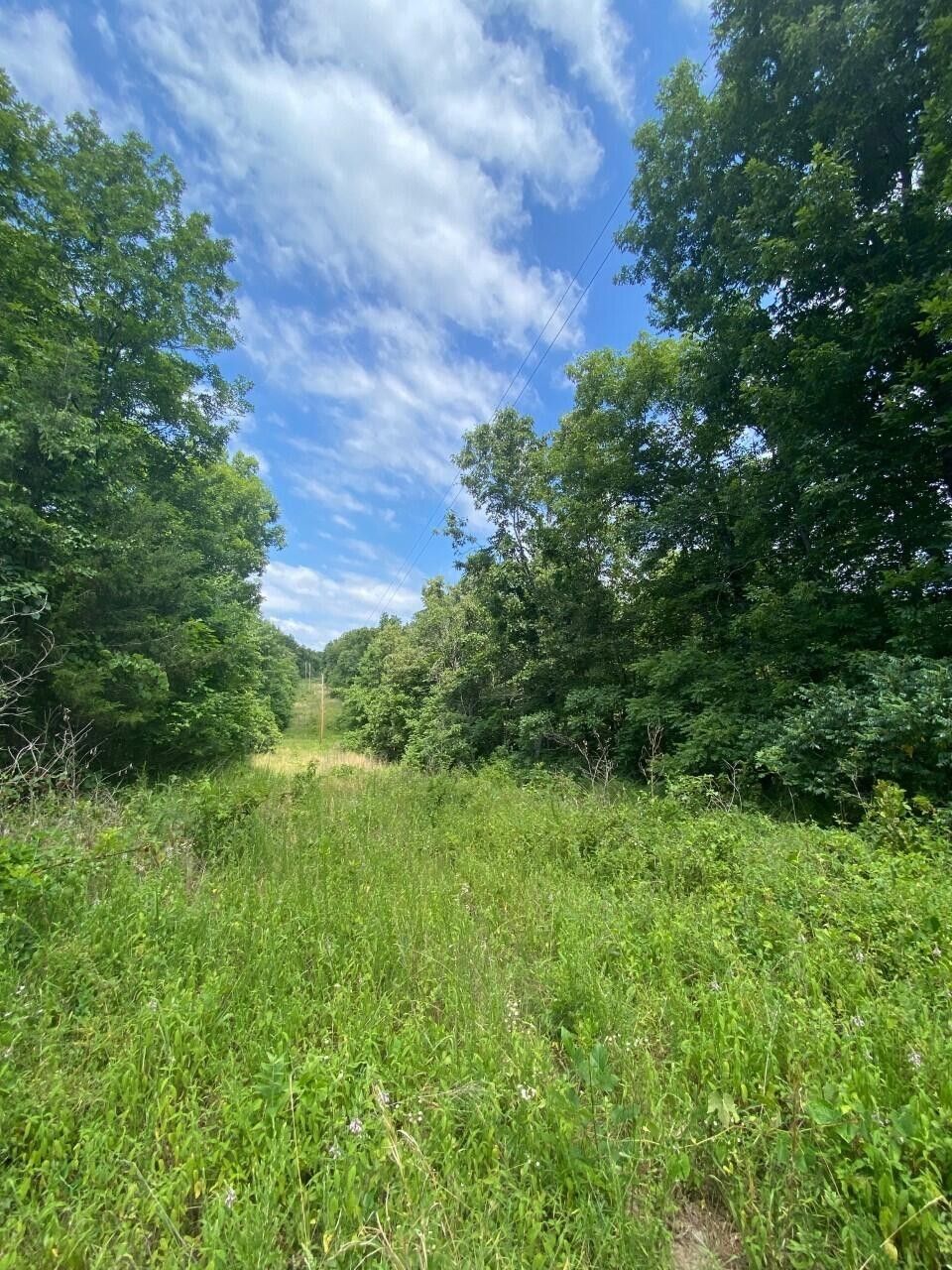 41 Acres, 000 County Road 204, Alton, MO 65606 Land and Farm